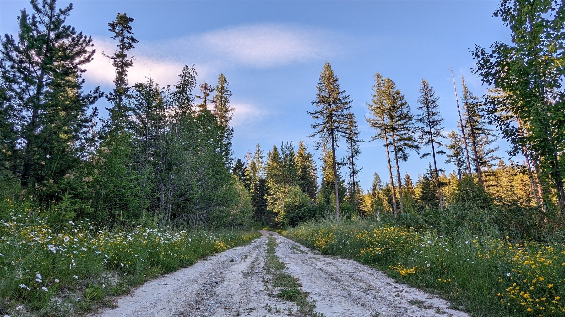 10 acres in Lake County, Montana