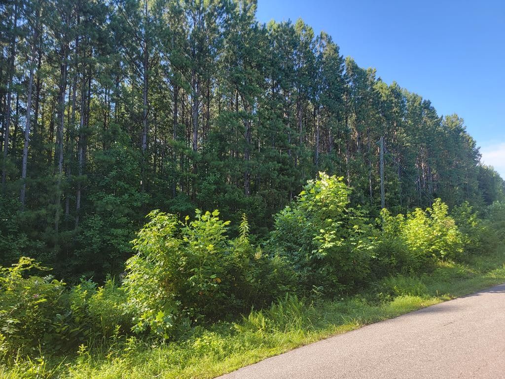 8.65 acres in Charlotte County, Virginia