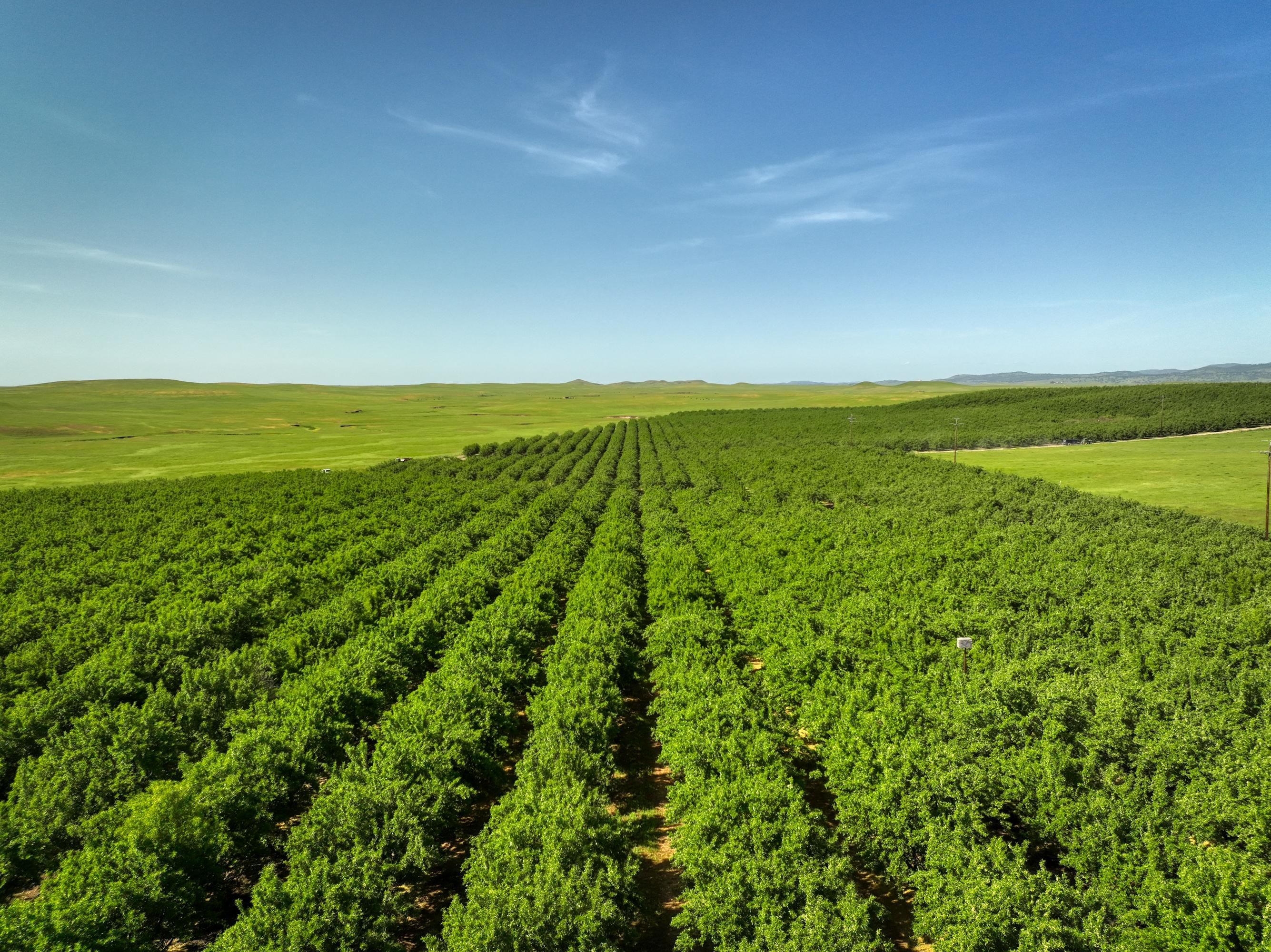 5013 California 4, Farmington, CA 95230 MLS 223002743