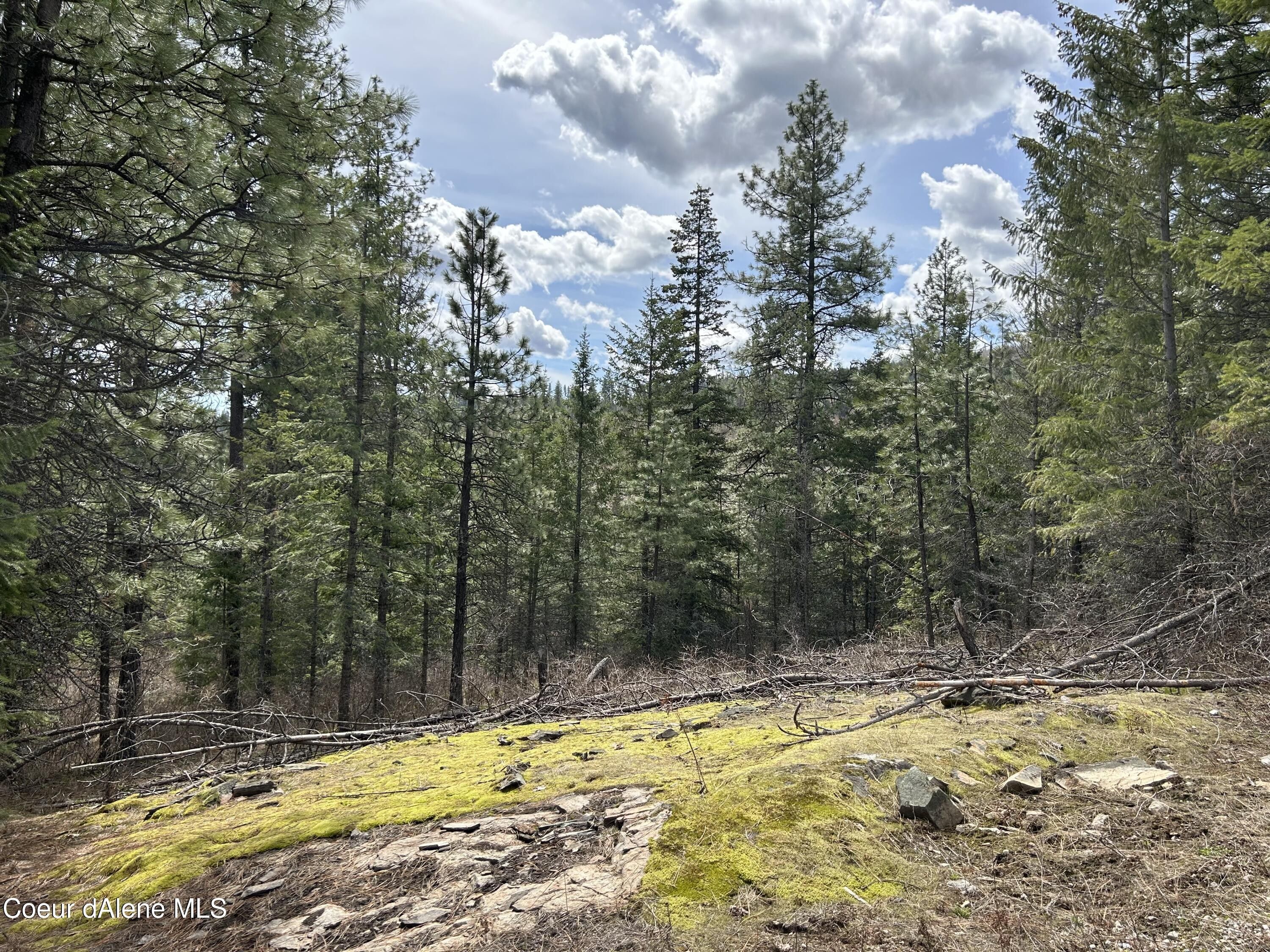 20 acres in Bonner County, Idaho