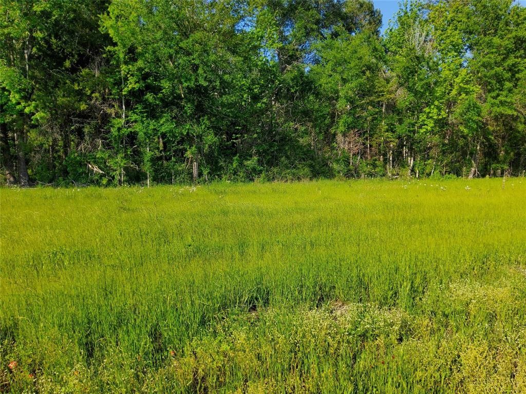 2 acres in Wood County, Texas