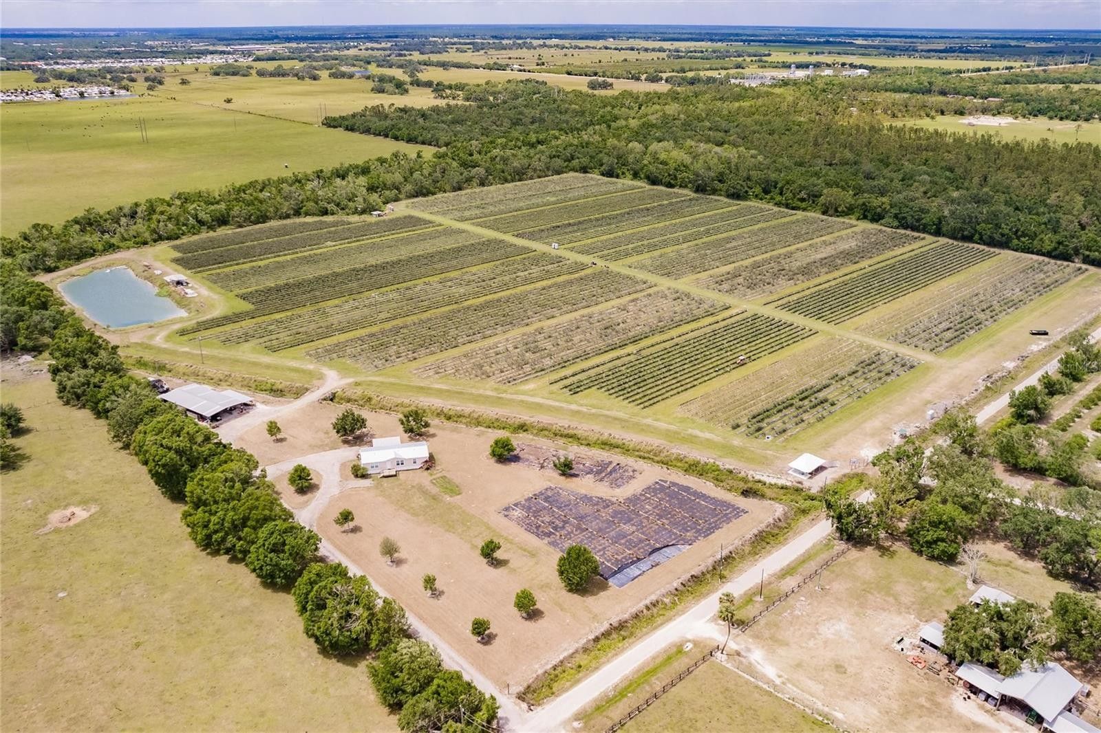 40 acres in DeSoto County, Florida