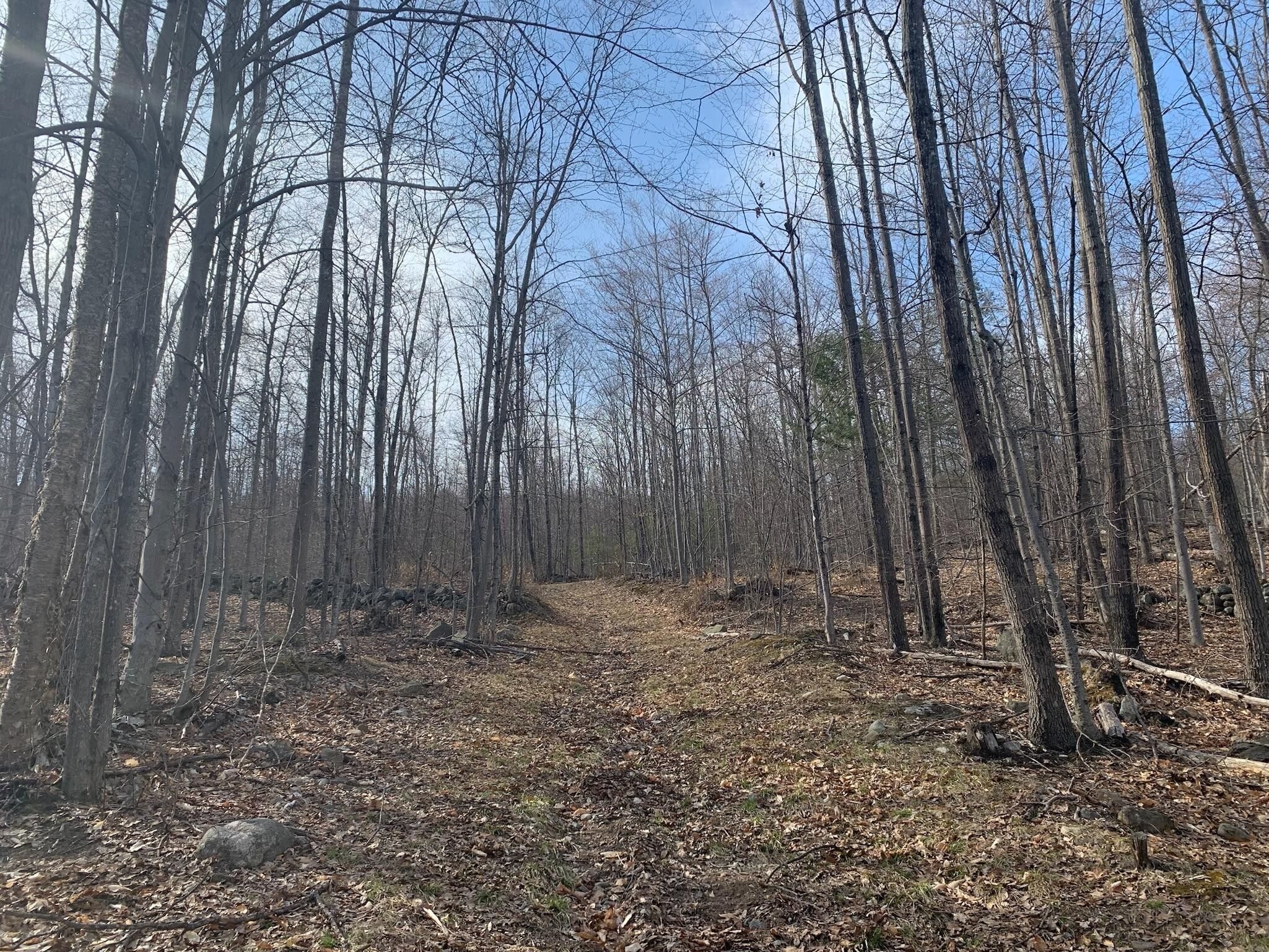 76 acres in Androscoggin County, Maine