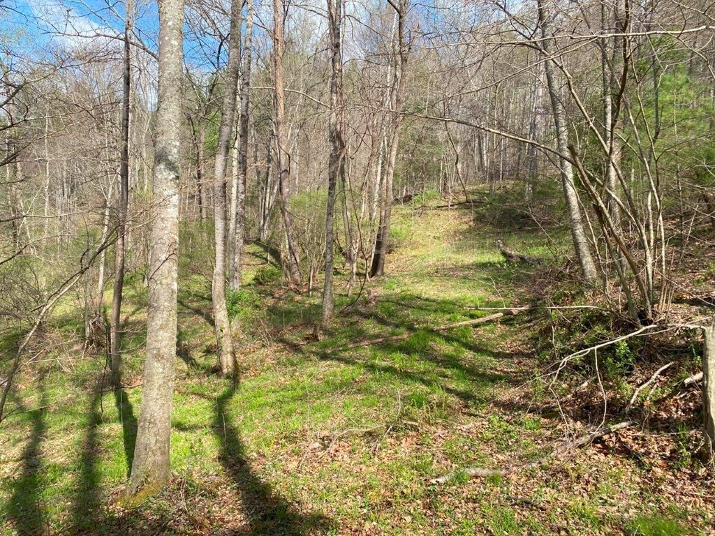 24.84 acres in Floyd County, Virginia
