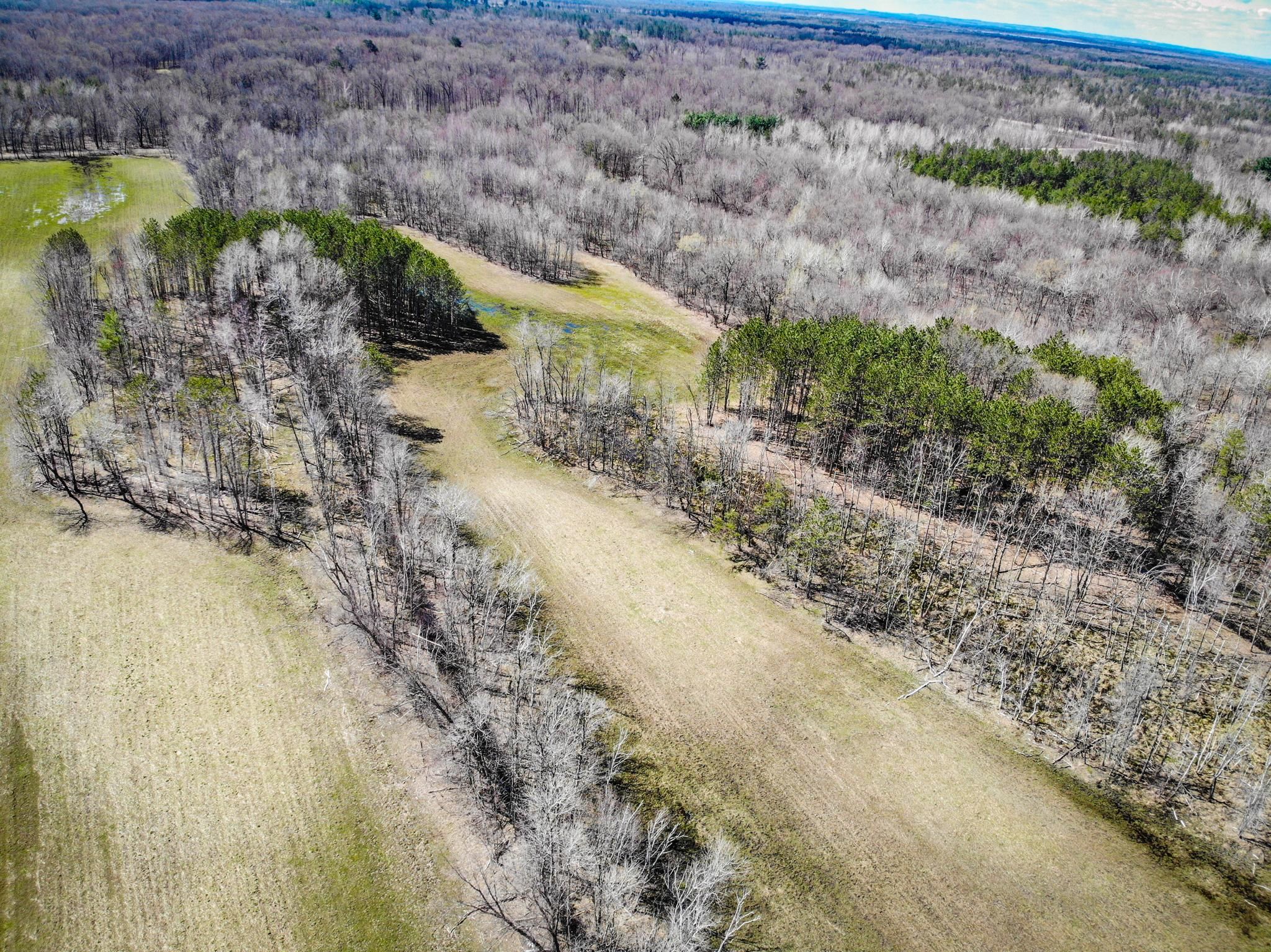 86.2 acres in Juneau County, Wisconsin
