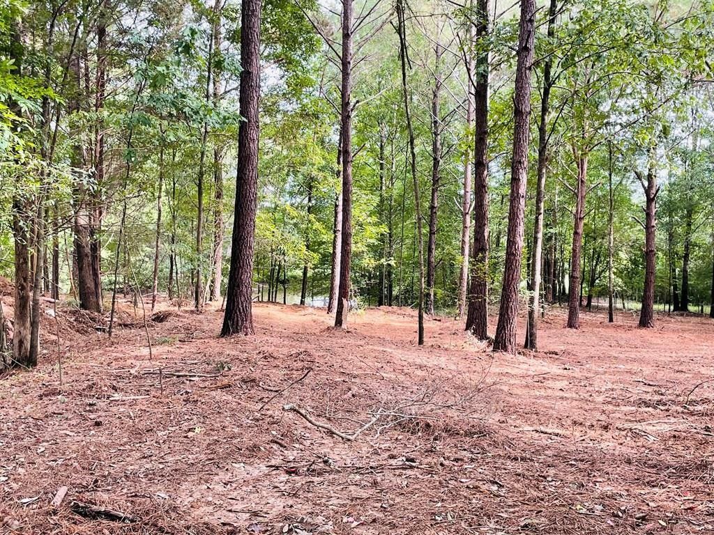 2.68 acres in Lafayette County, Mississippi