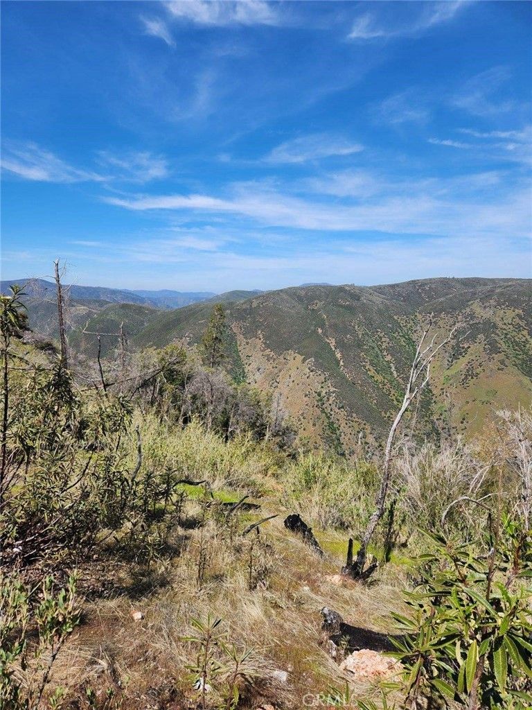 40 acres in Mariposa County, California