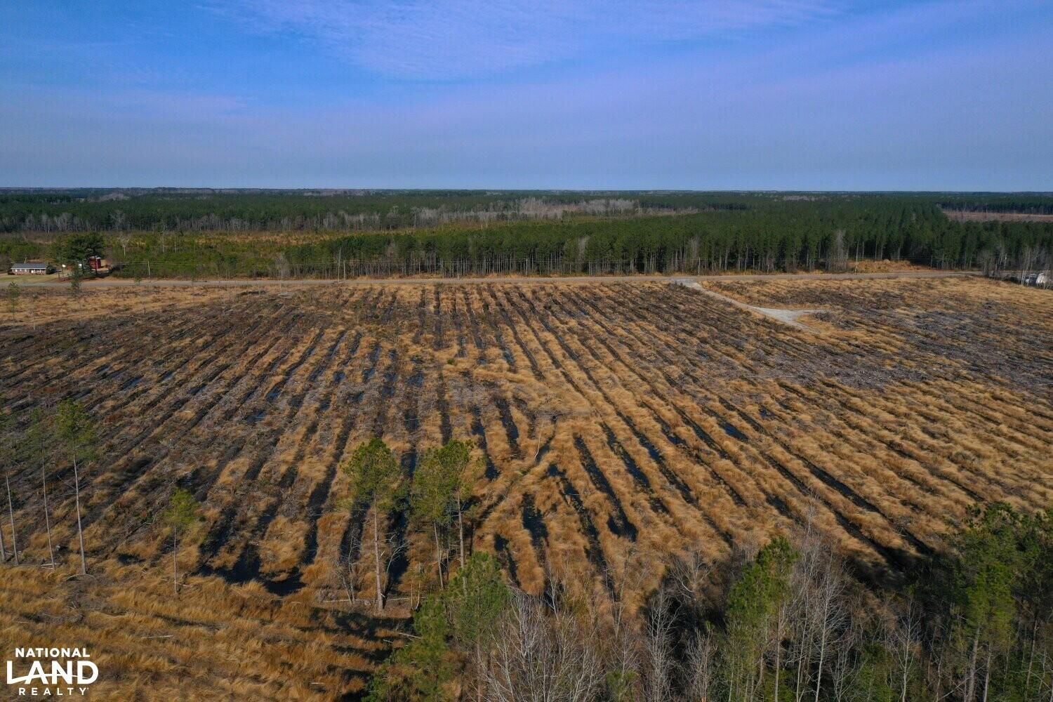 41 acres in Pitt County, North Carolina