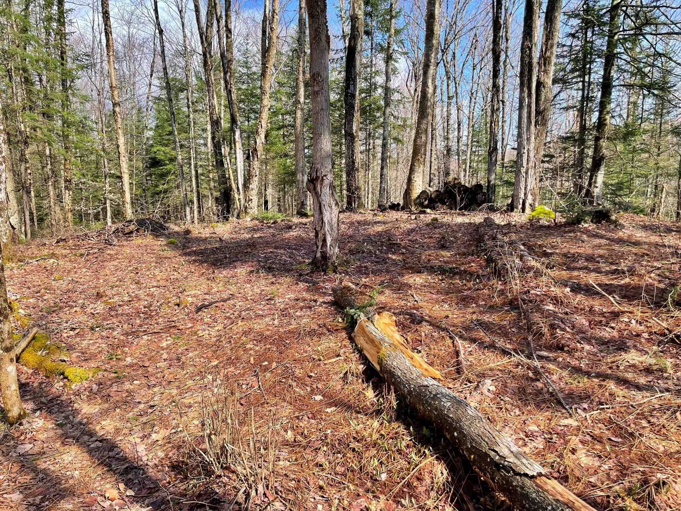 7 acres in Essex County, Vermont