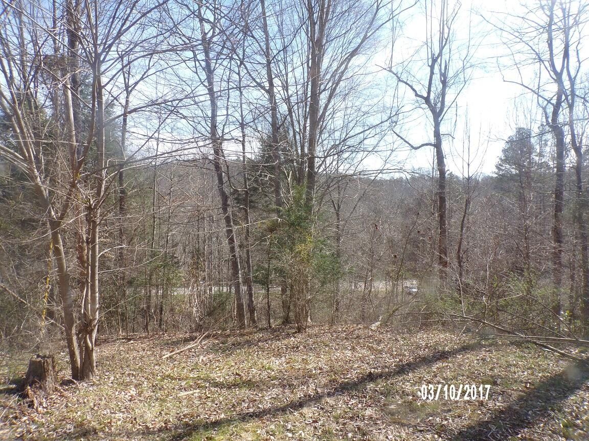 63 acres in Rockcastle County, Kentucky