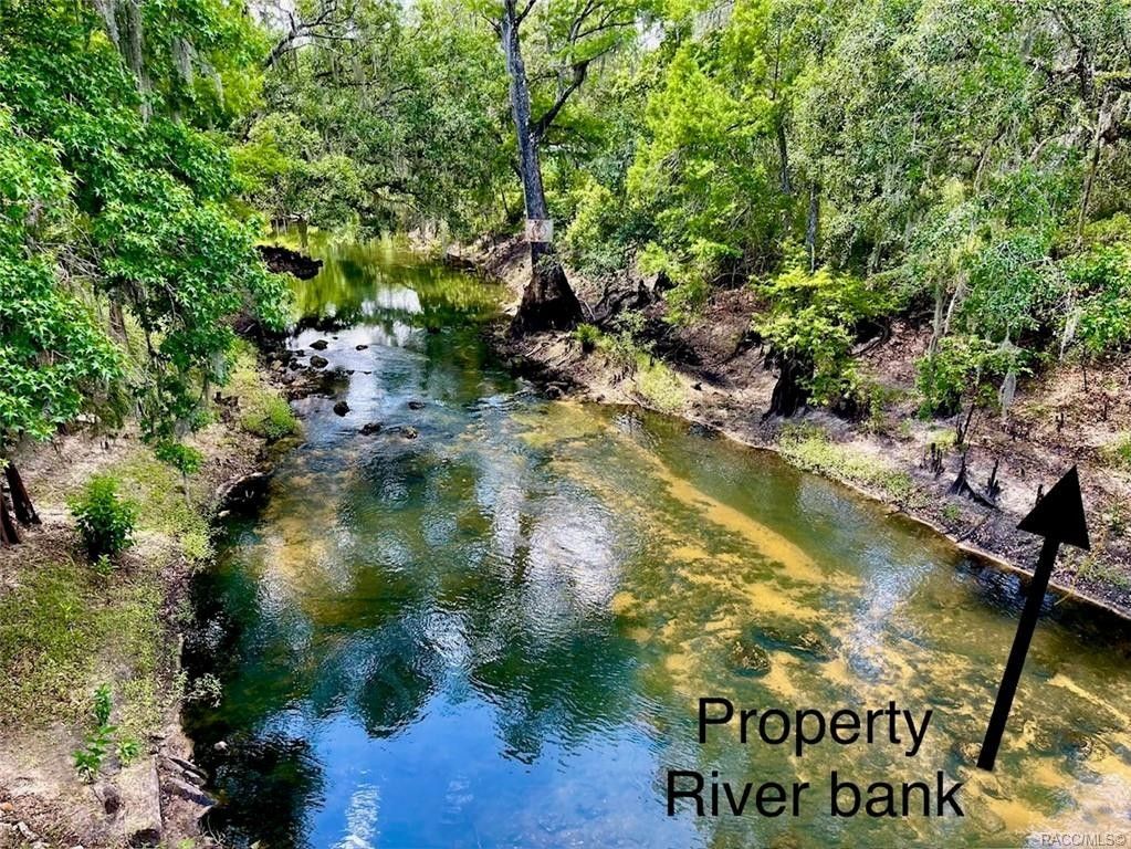 7 acres in Hernando County, Florida