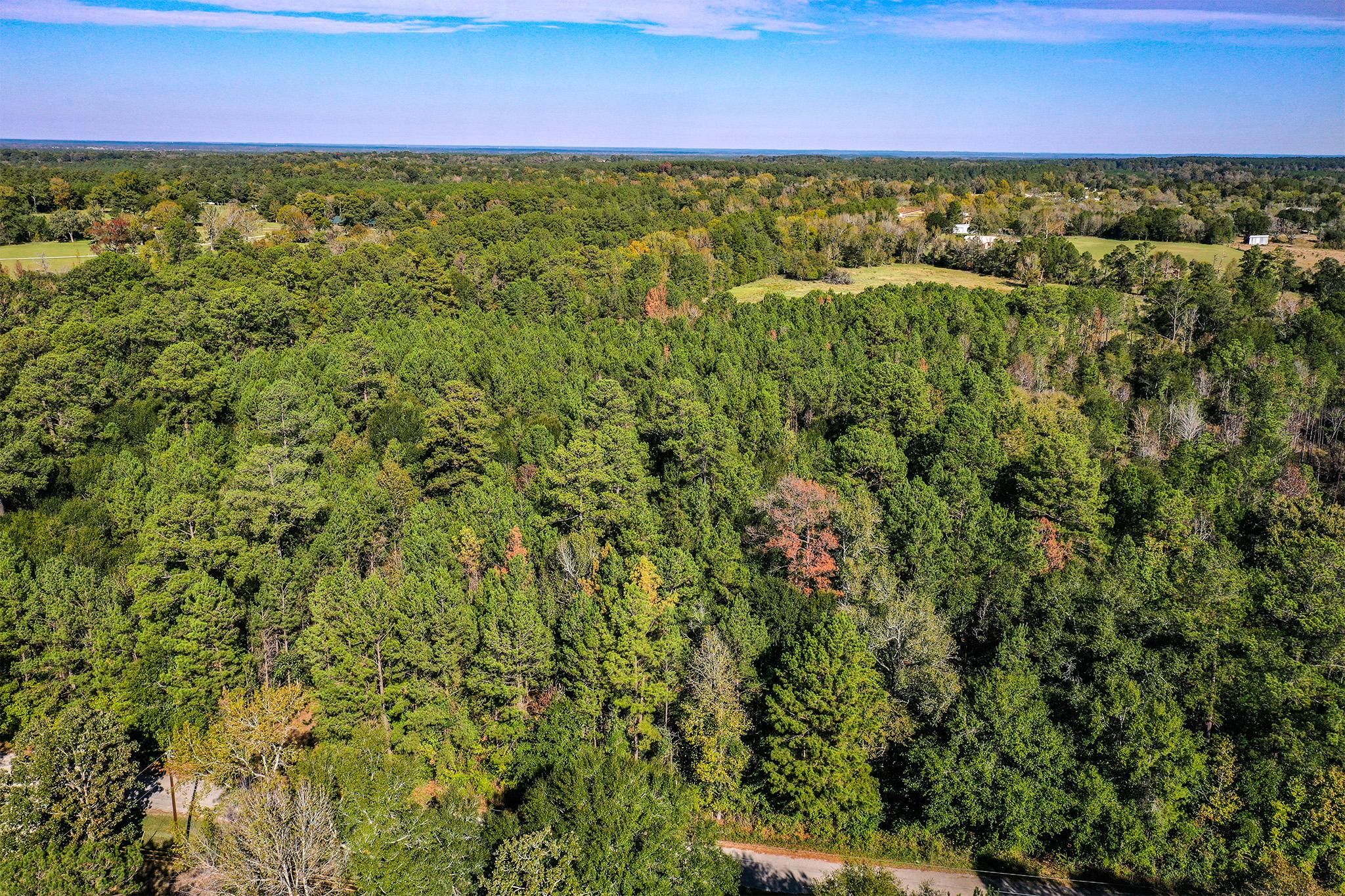 Tract 3 Hank Benge Rd, Huntsville, TX 77340 MLS 36842374