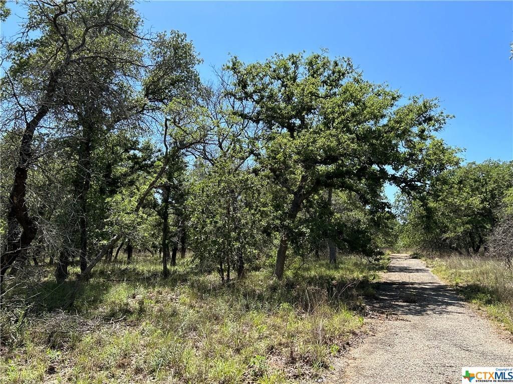 150.11 acres in Guadalupe County, Texas