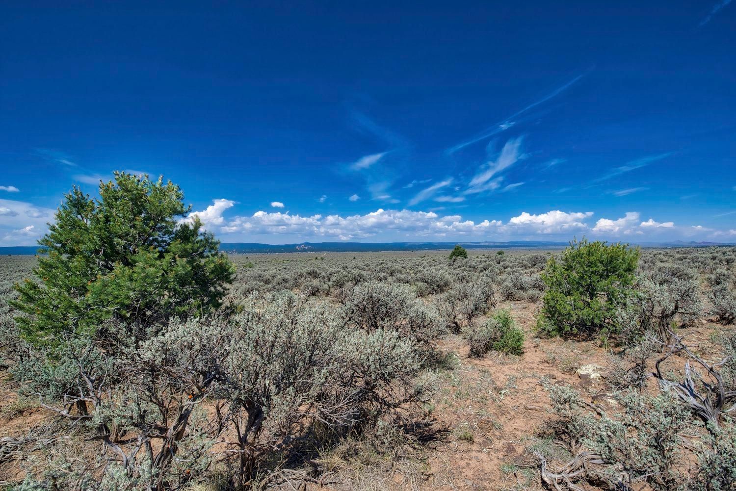 0.25 acres in Taos County, New Mexico