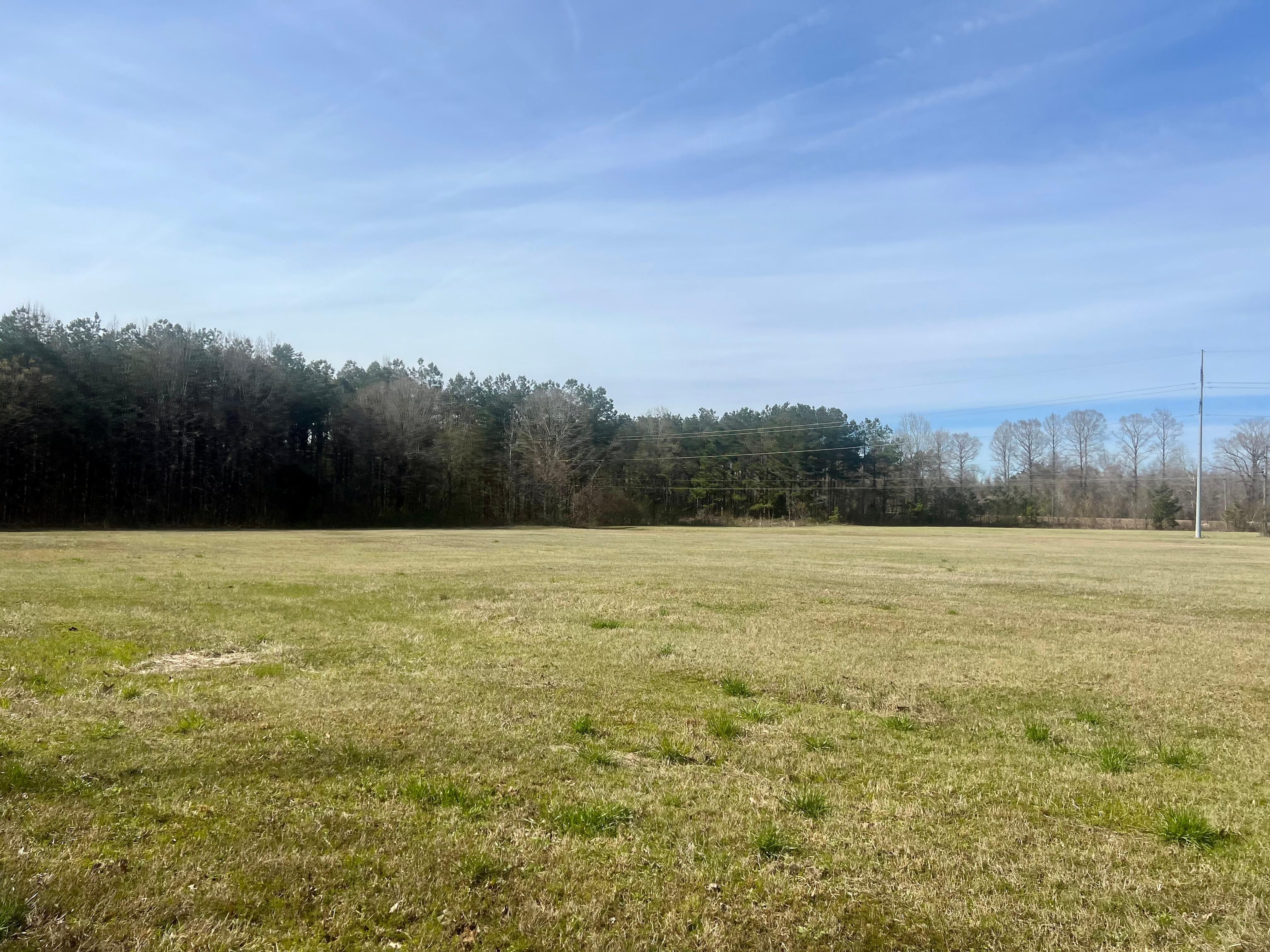 81 acres in Marshall County, Mississippi
