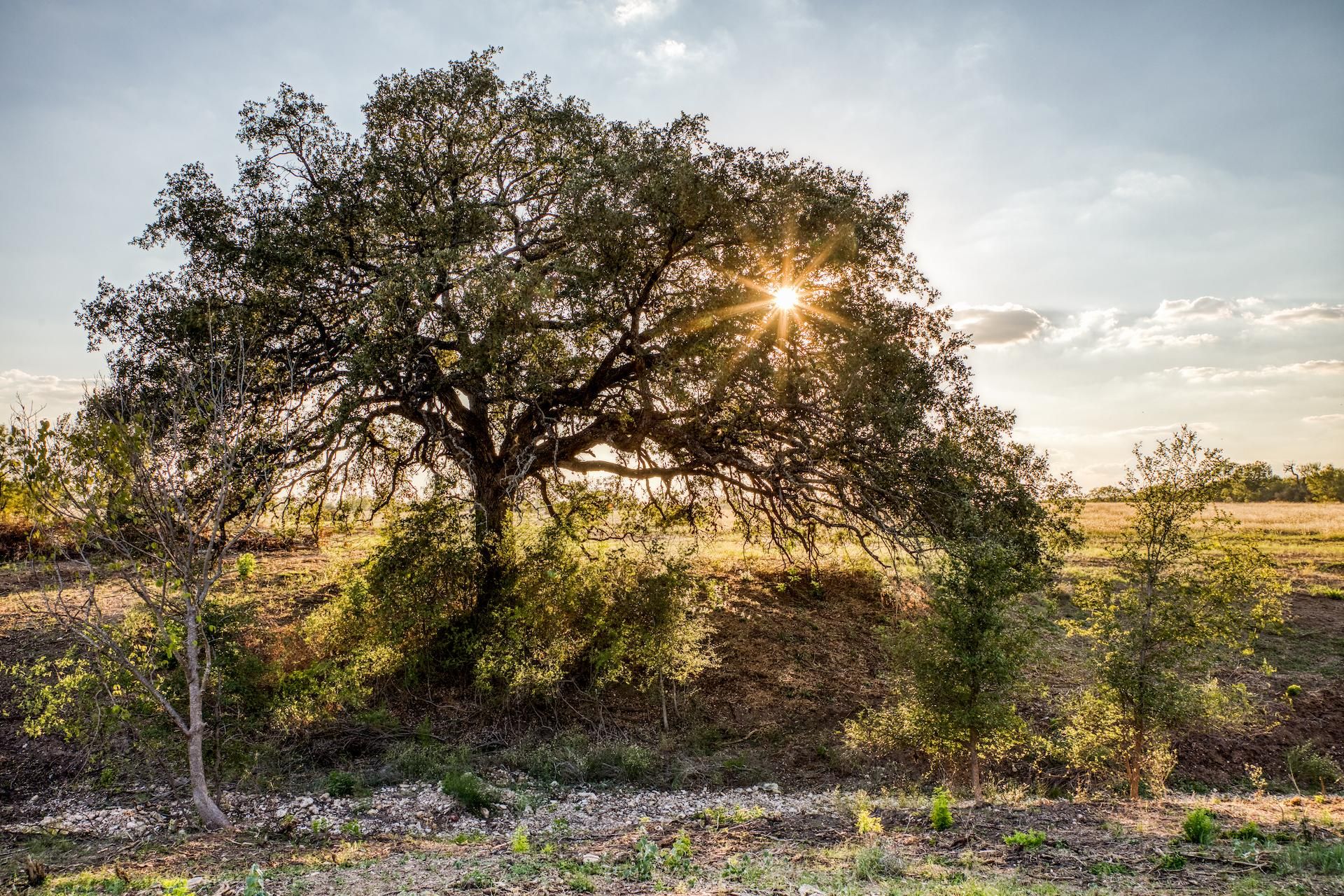 108 acres in Medina County, Texas