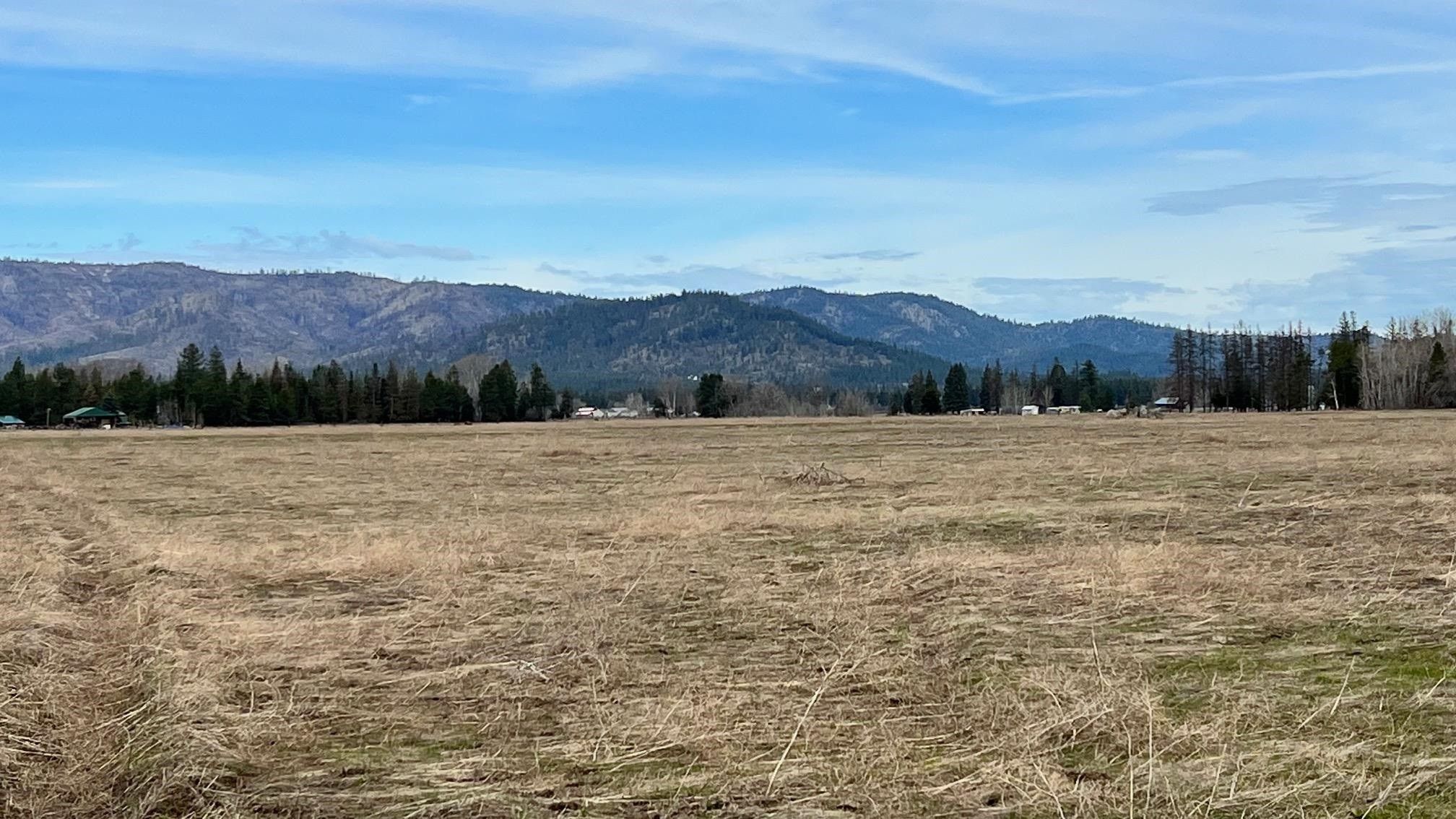 20 acres in Stevens County, Washington