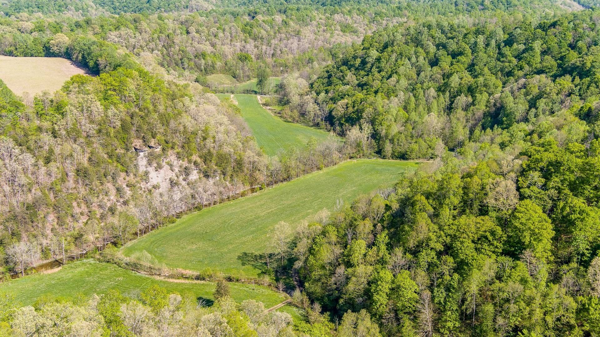 306 acres in Cumberland County, Kentucky