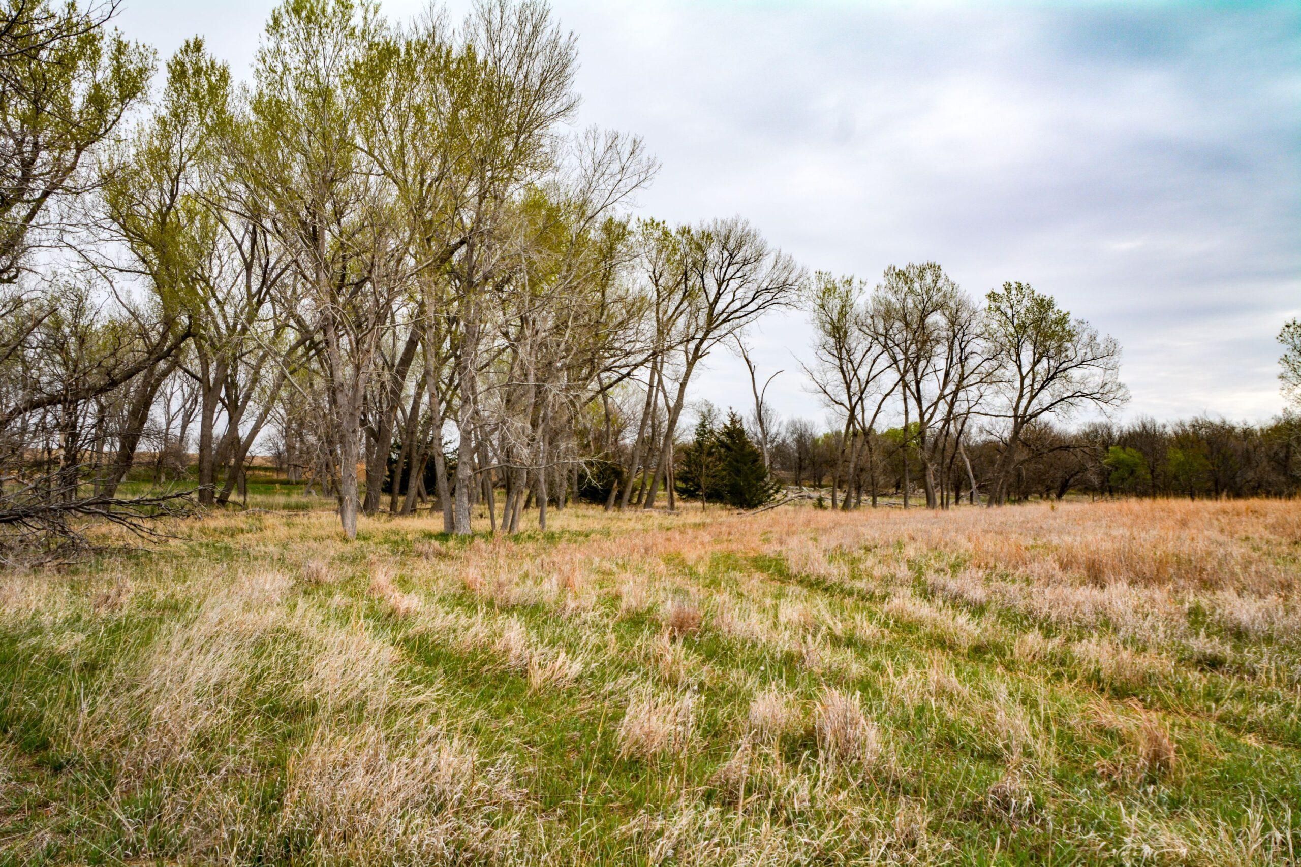 79.27 acres in Barton County, Kansas