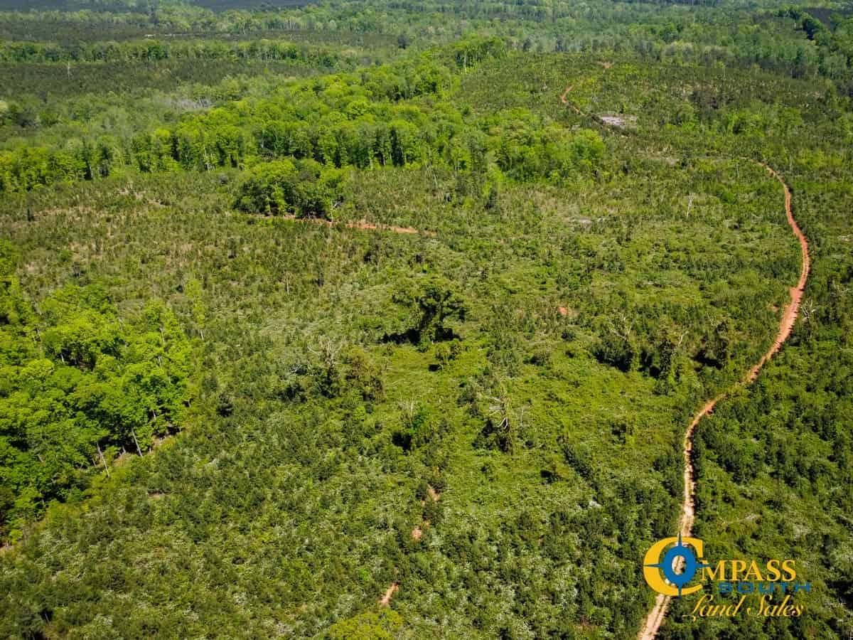 291 acres in Troup County,