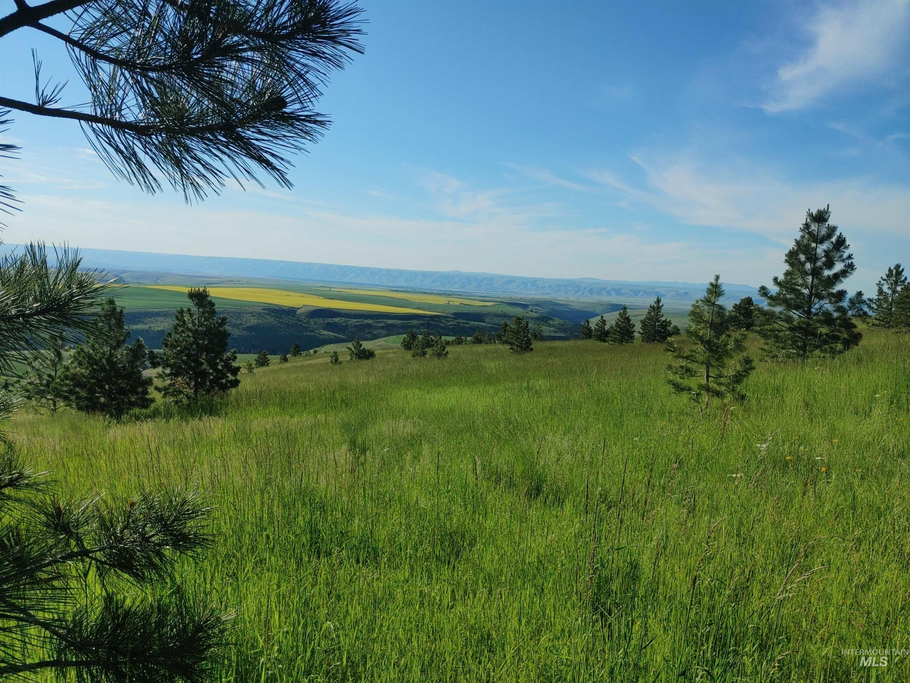 10.1 acres in Nez Perce County, Idaho