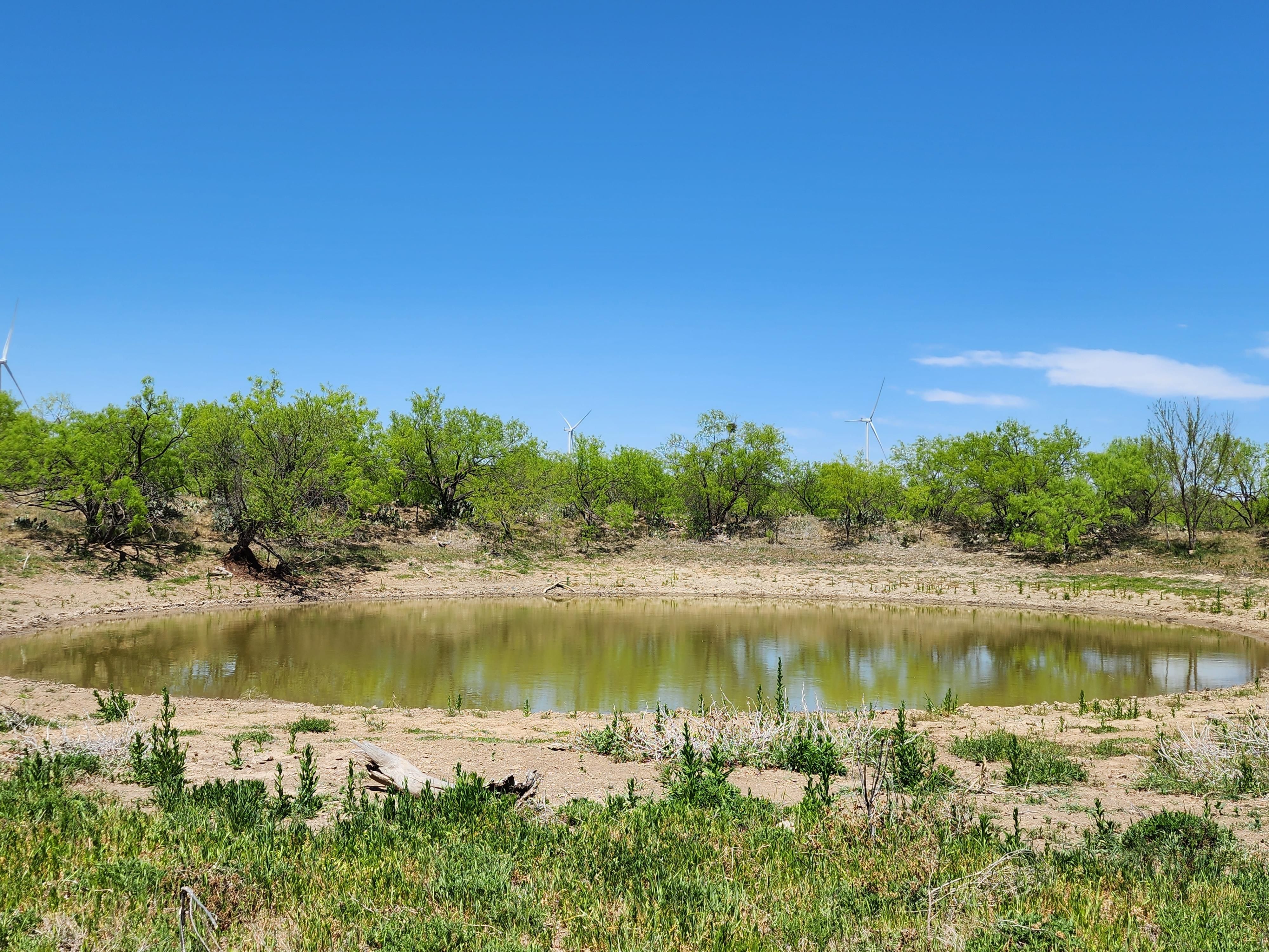 148.55 acres in Throckmorton County, Texas