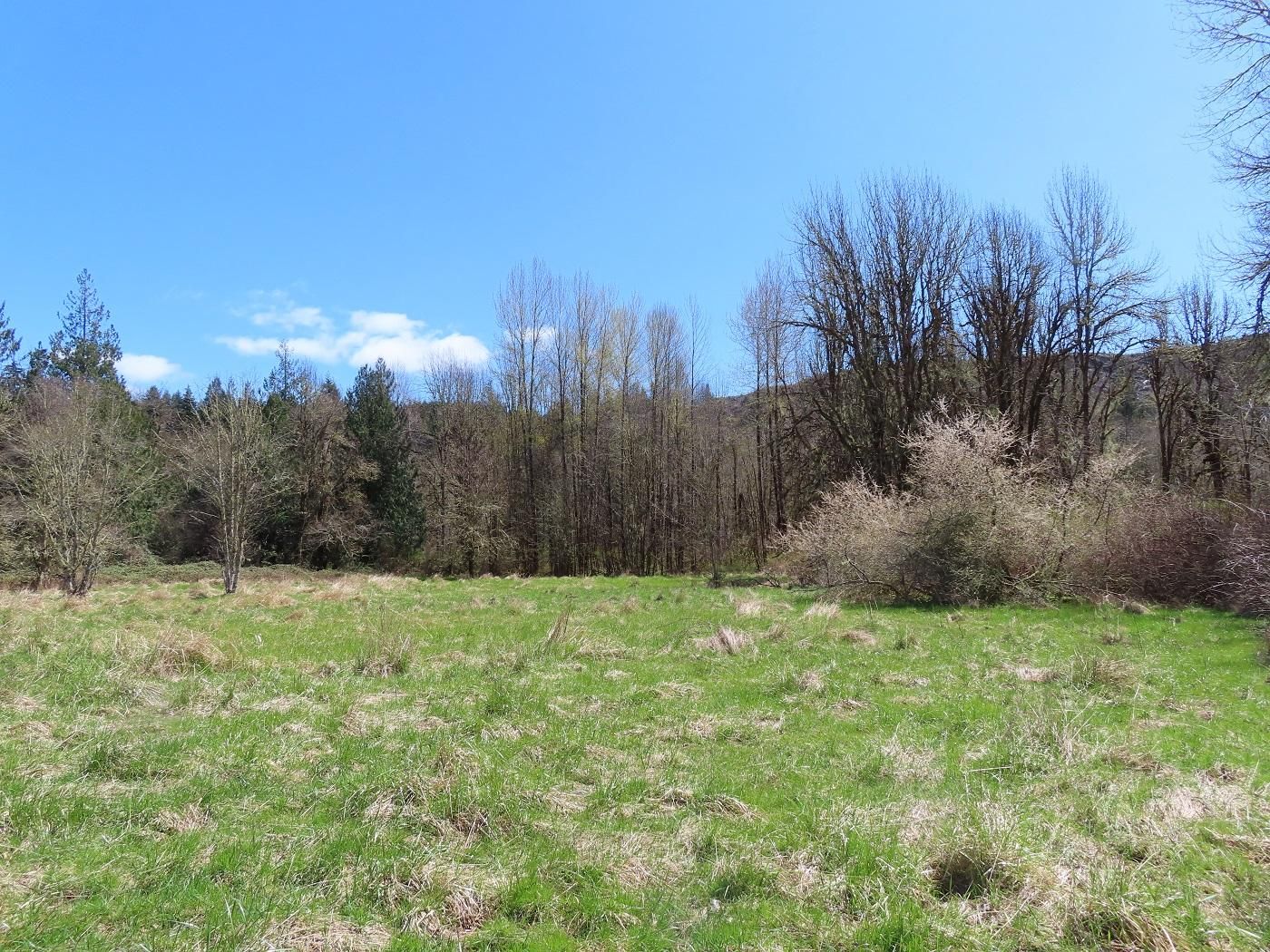 10 acres in Lewis County, Washington