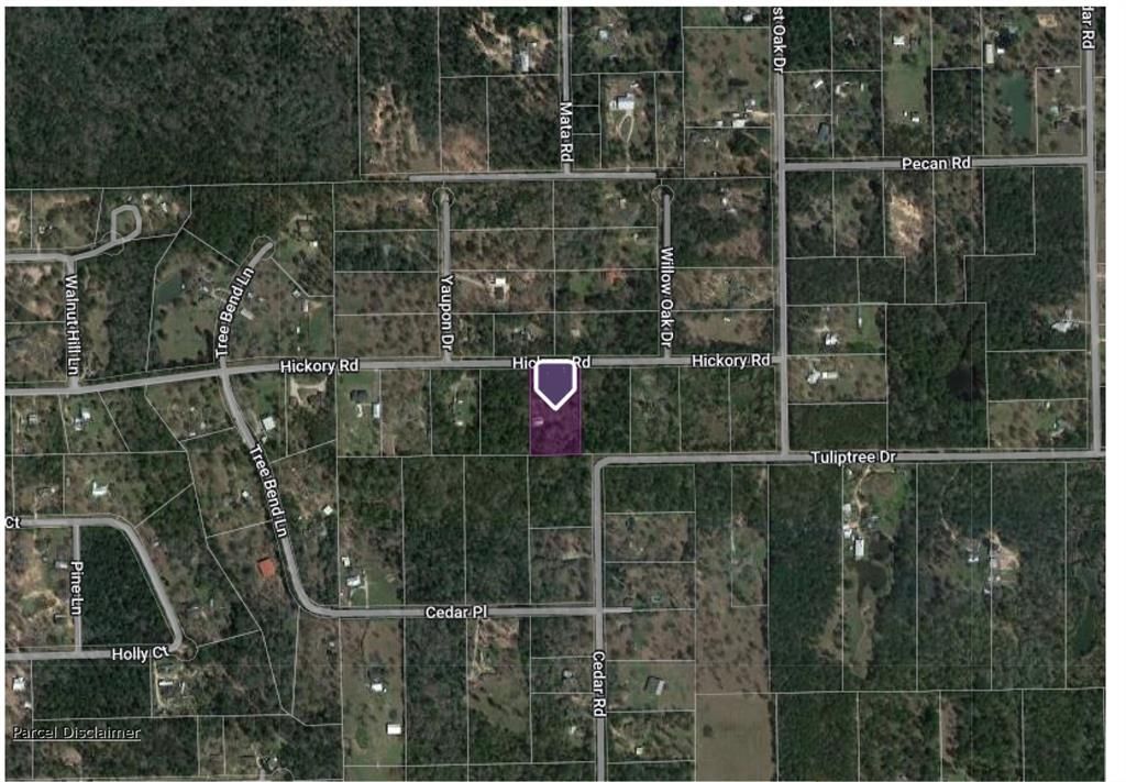 5 acres in Grimes County, Texas