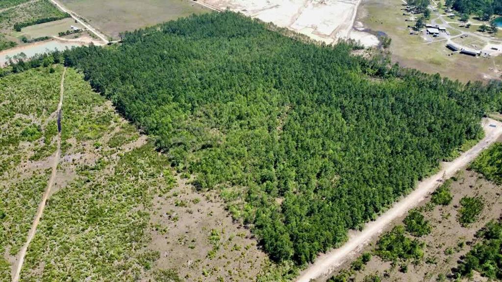 10 acres in Hardin County, Texas