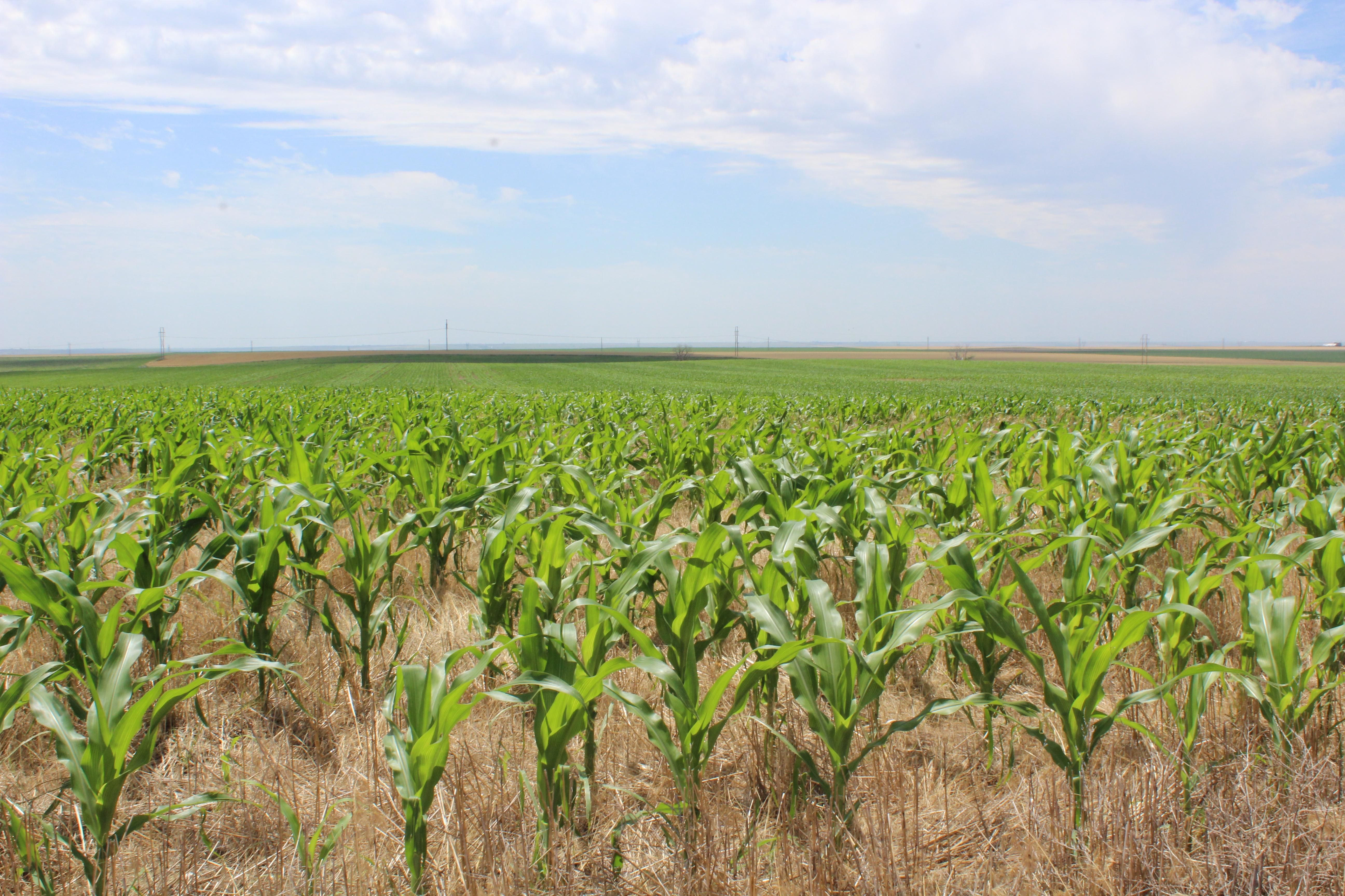 441.75 acres in Keith County, Nebraska