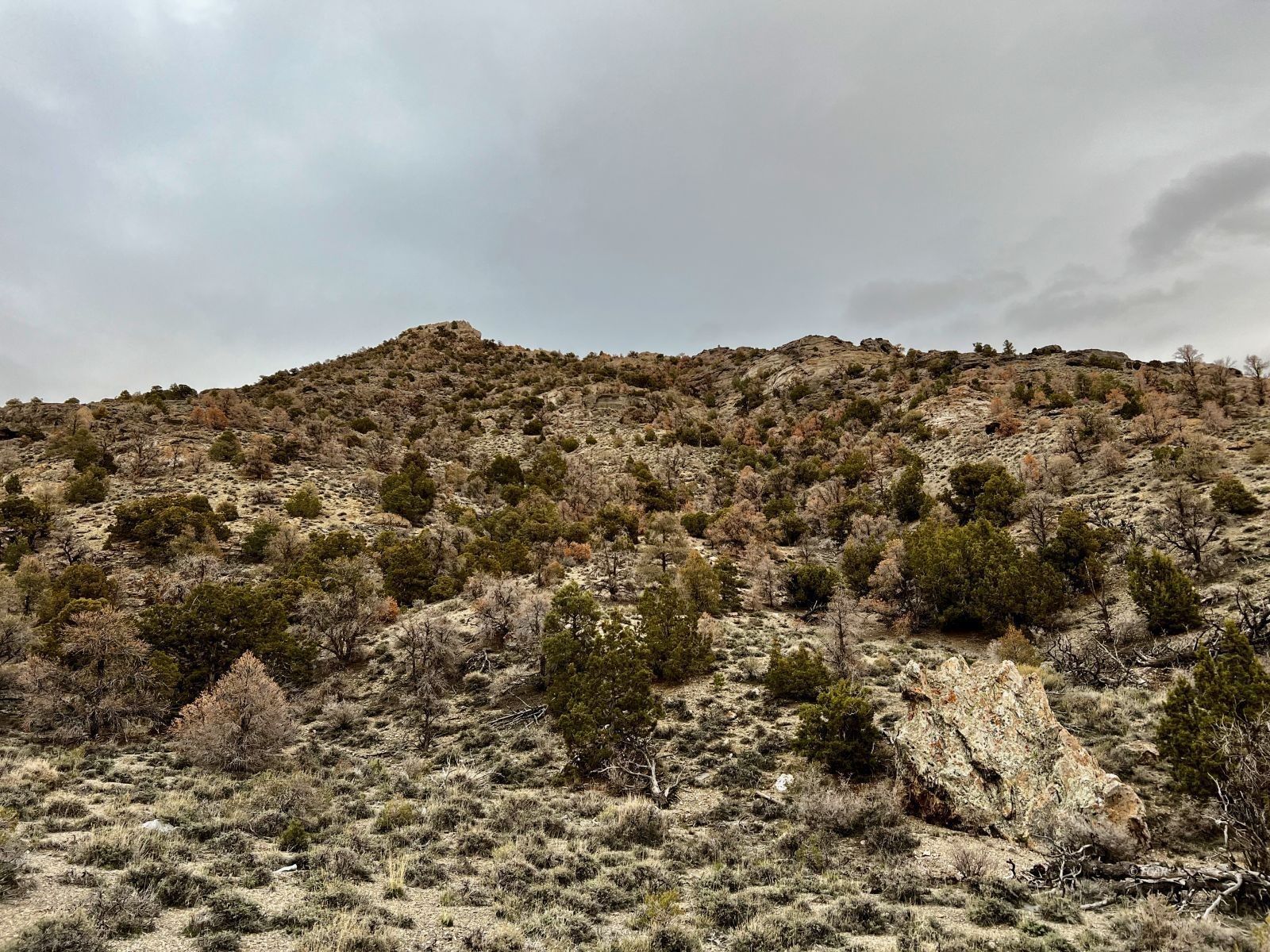 60 acres in Elko County, Nevada