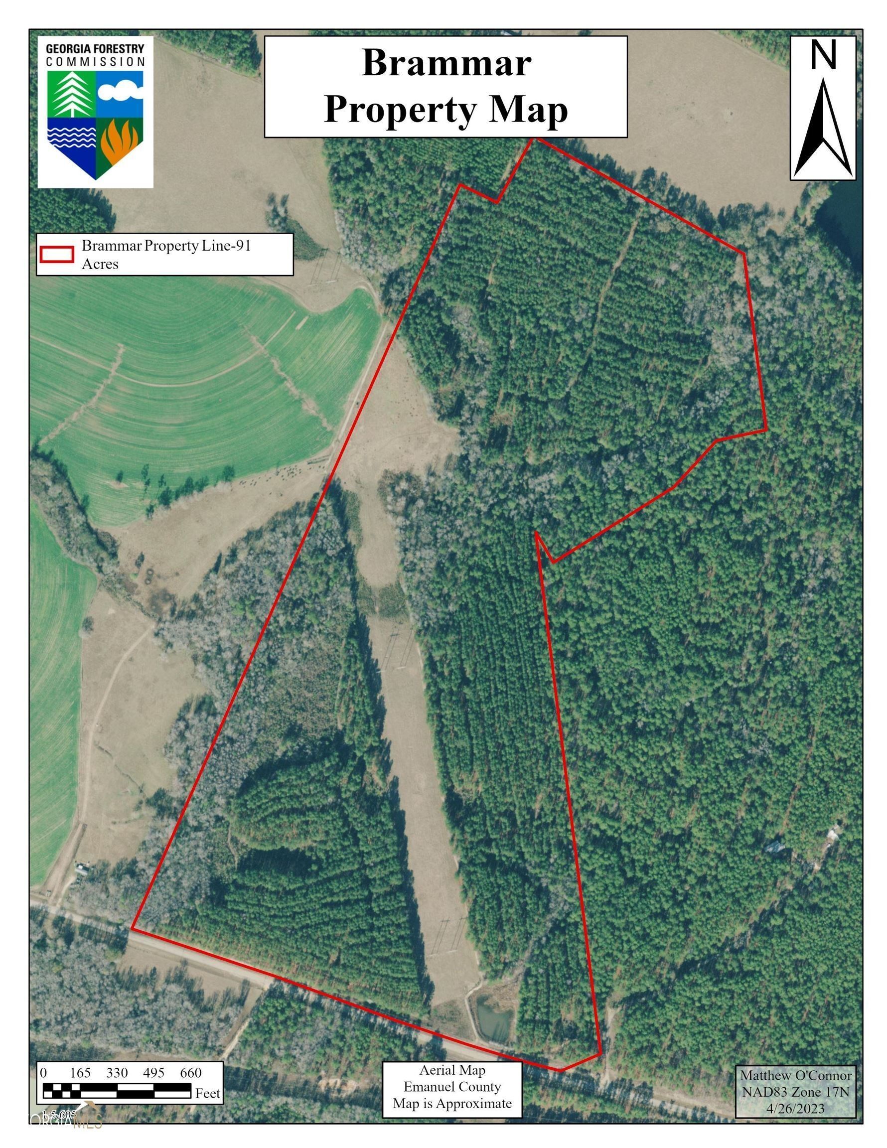 91 acres in Emanuel County,