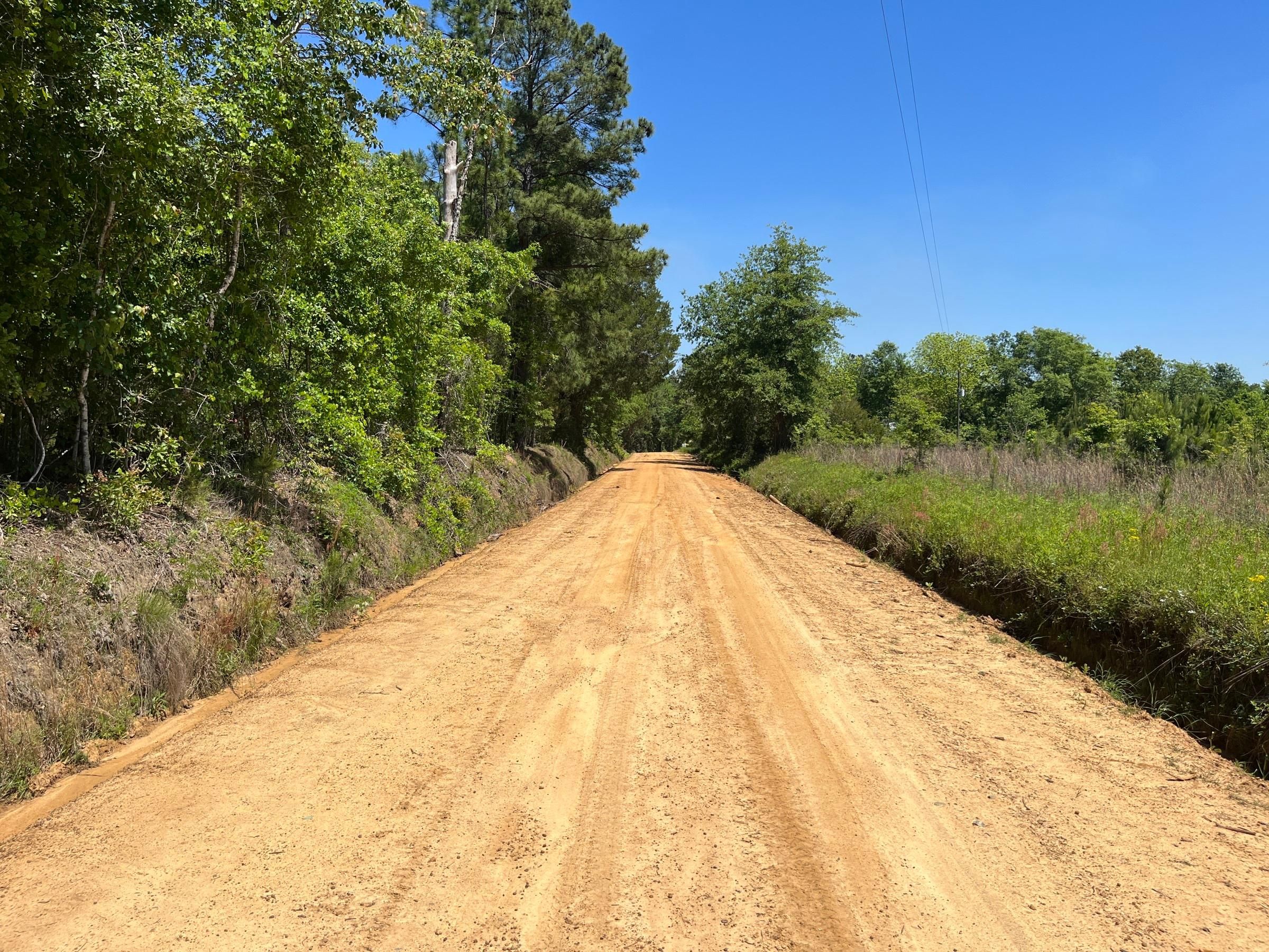 63 acres in Dodge County,