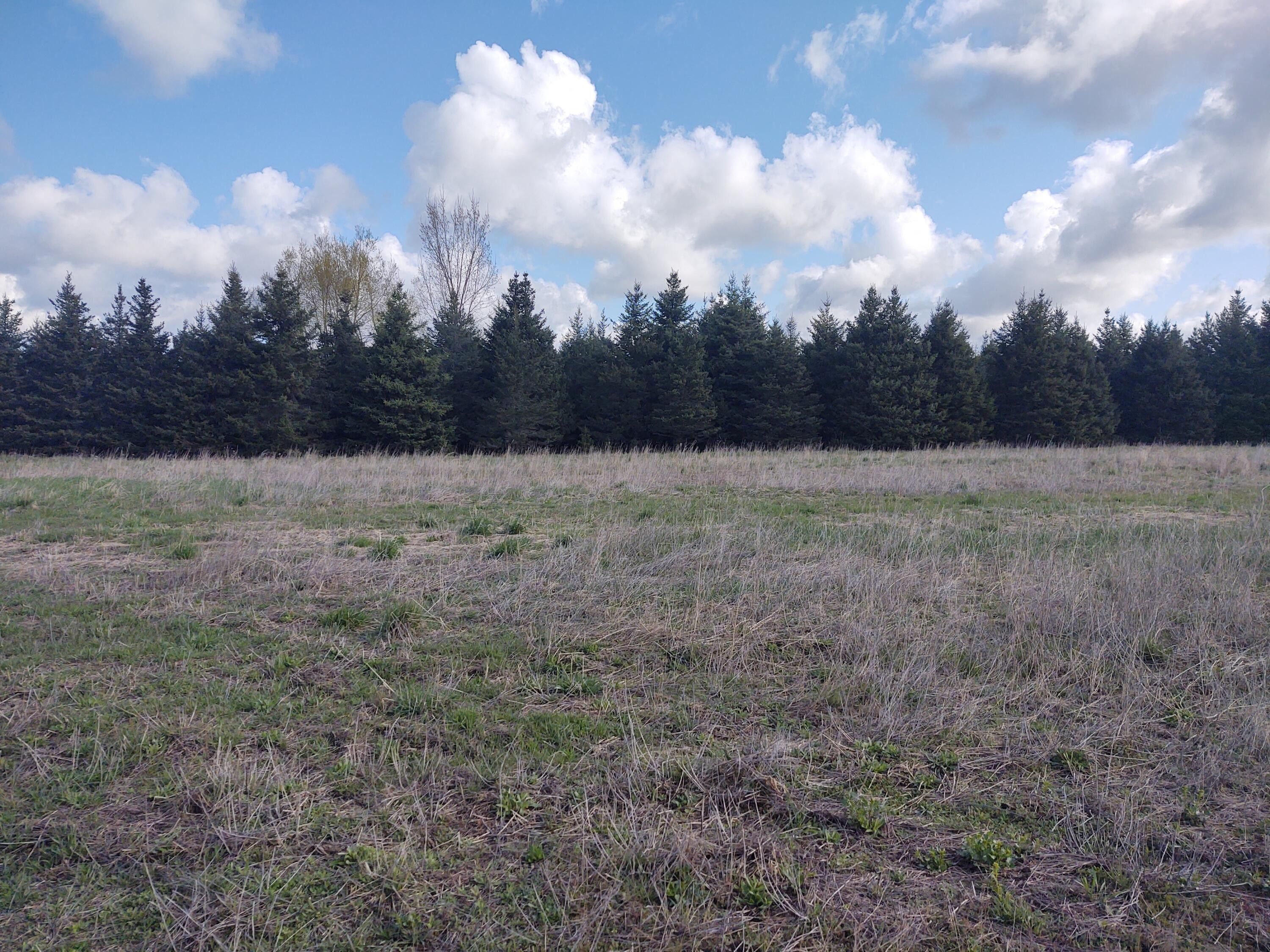 40 acres in Mecosta County, Michigan