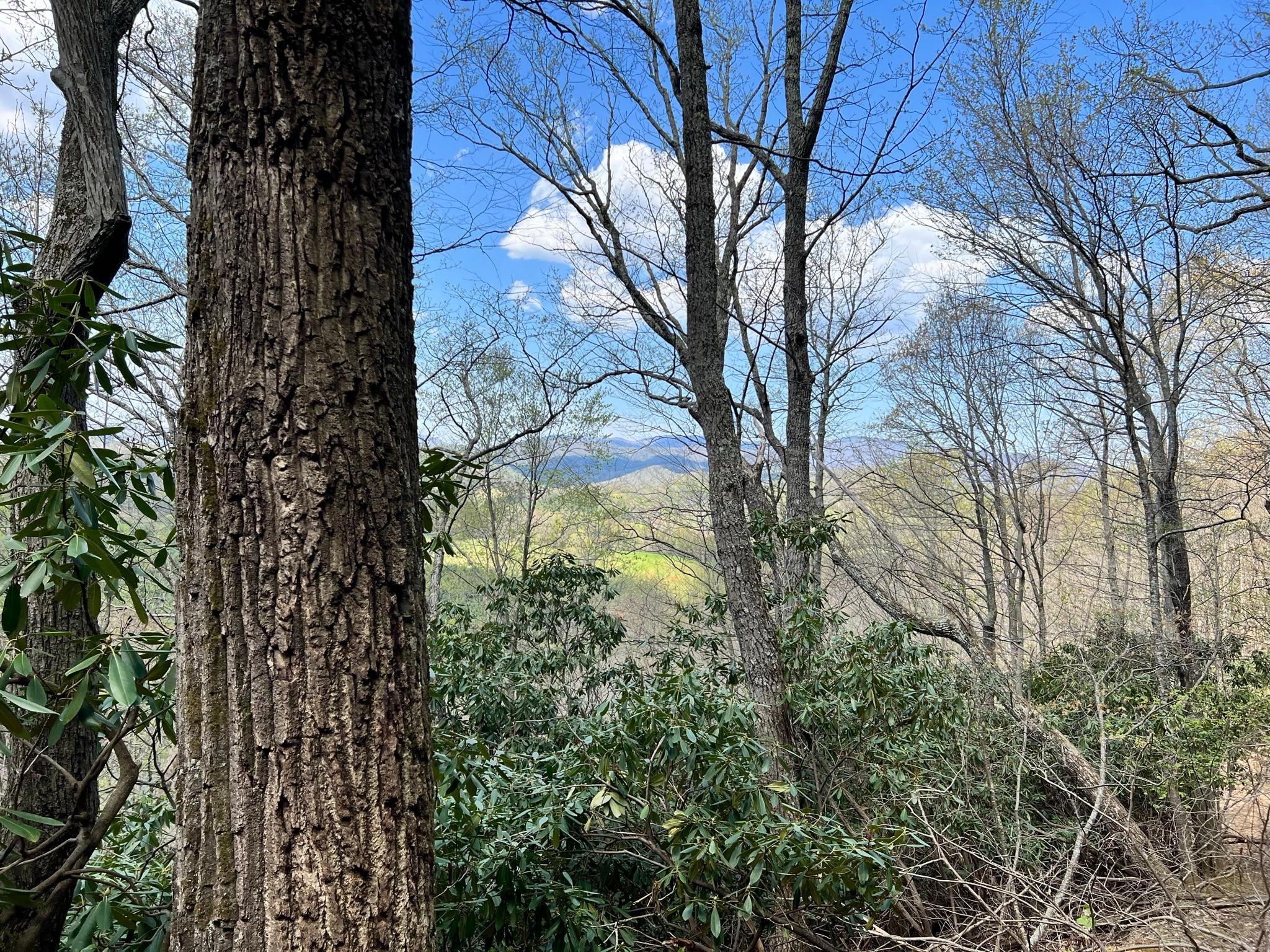 Ashe County Zillow - 8ydrq8o