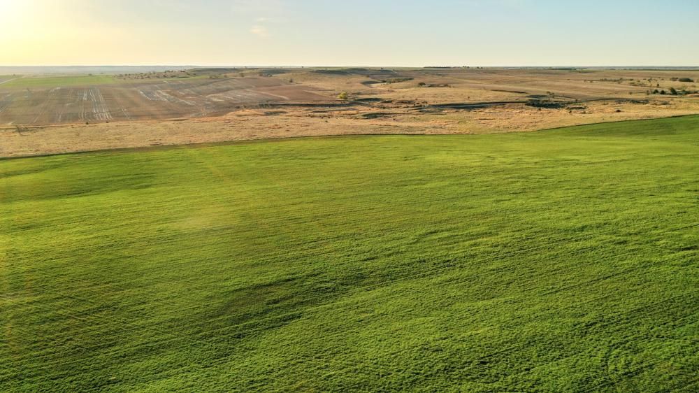 158 acres in Rooks County, Kansas