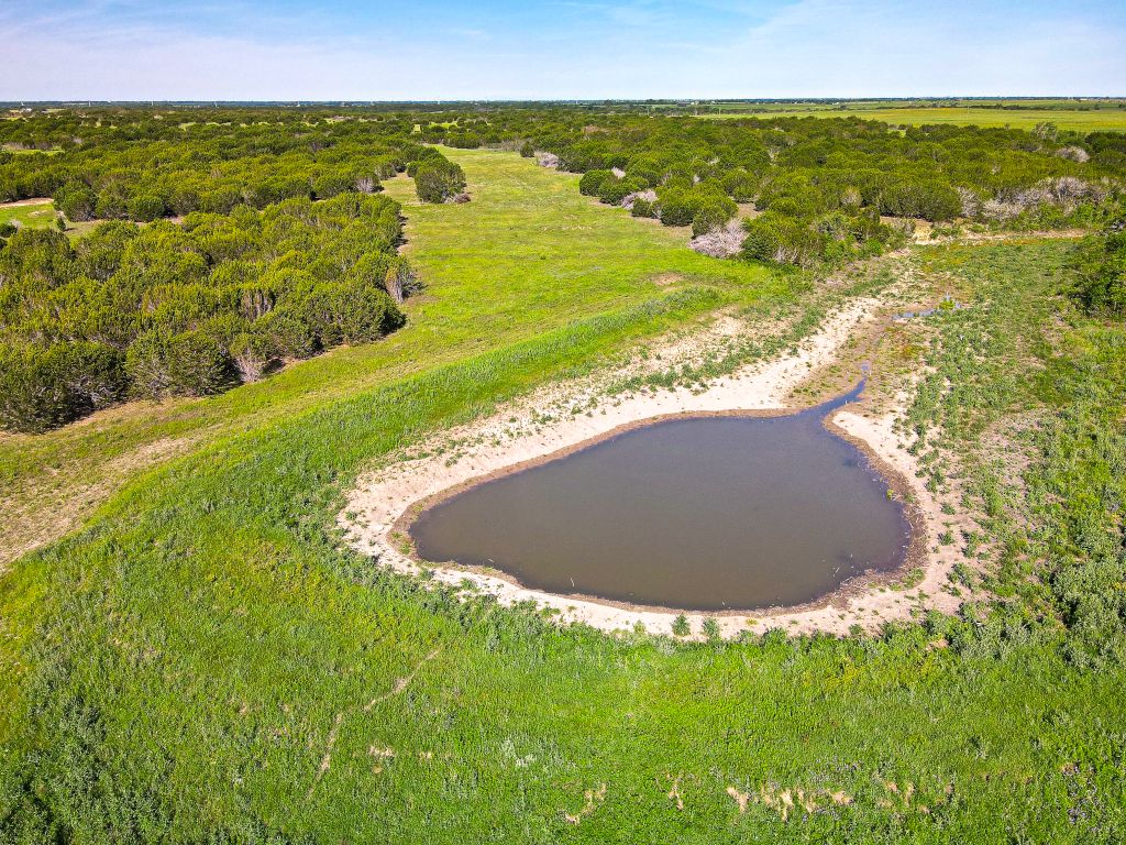 168.87 acres in Hico, TX, 76457