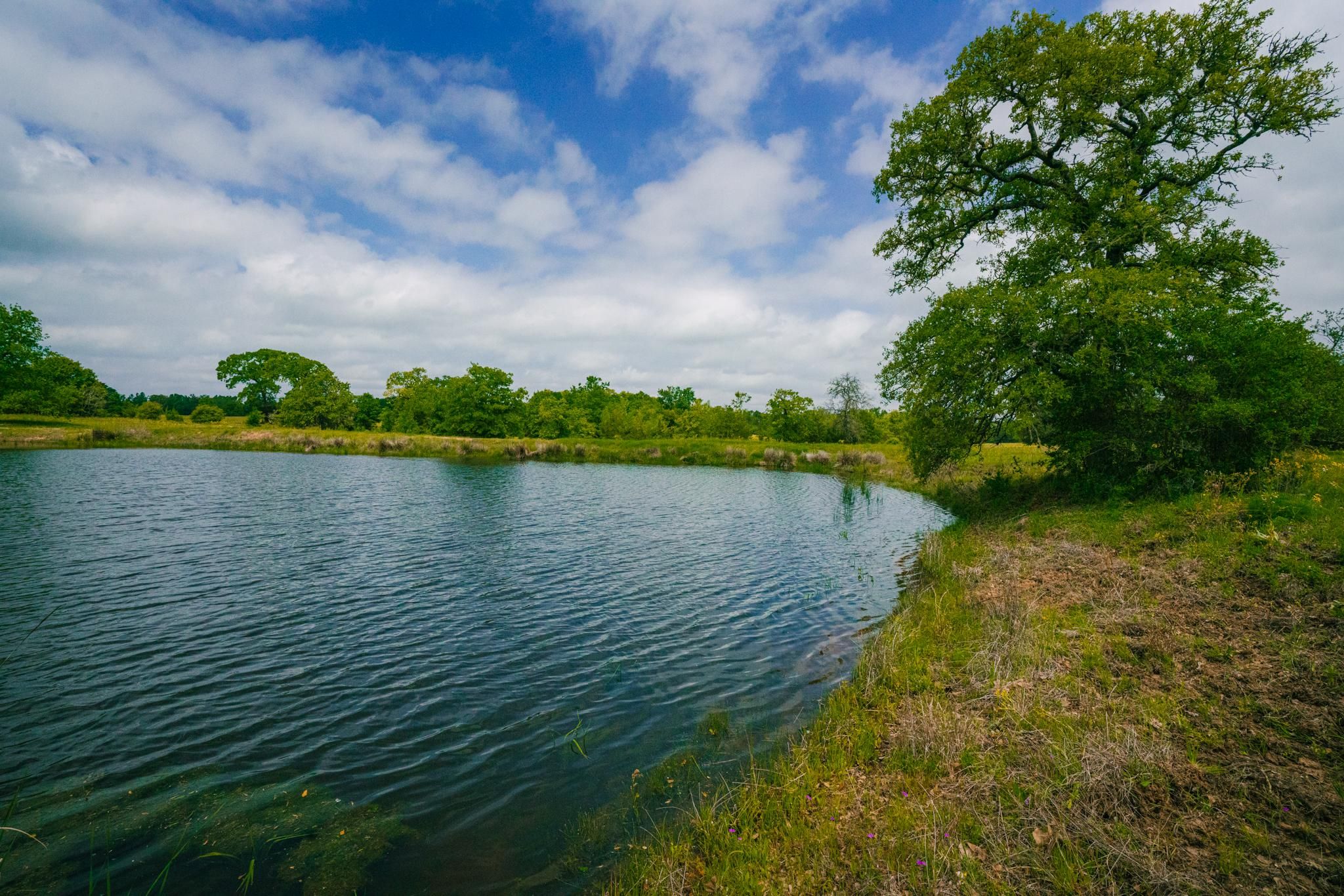 632 acres in Milam County, Texas