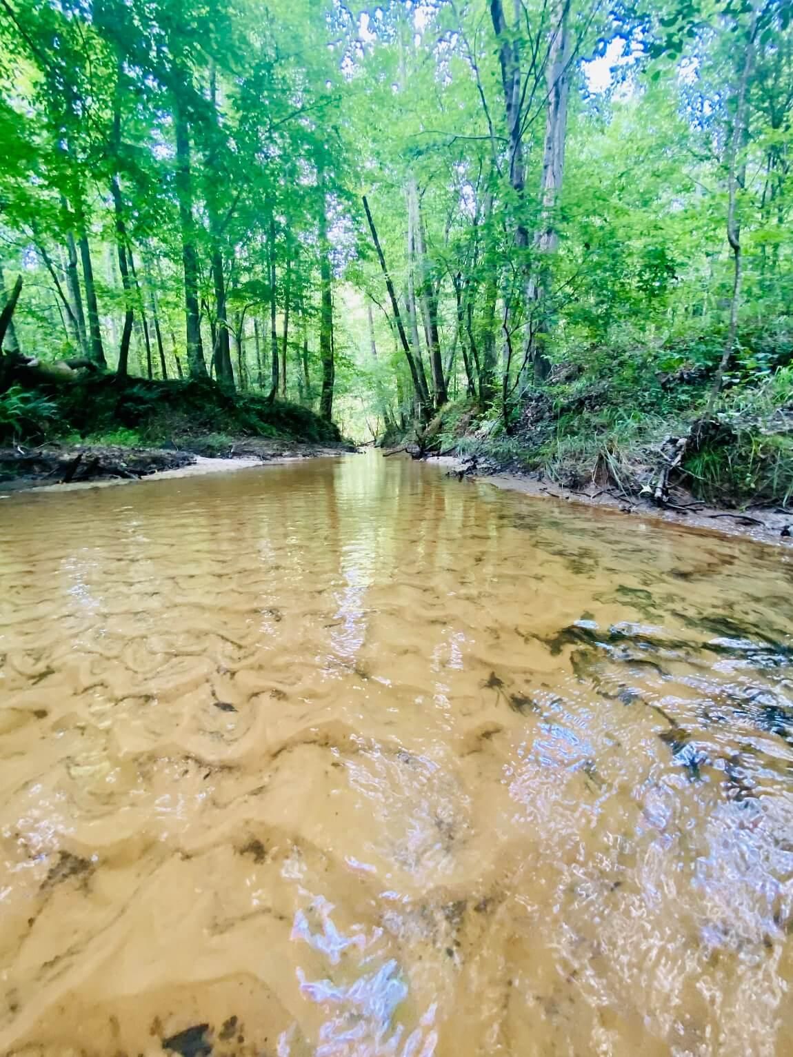 72 acres in Alcorn County, Mississippi