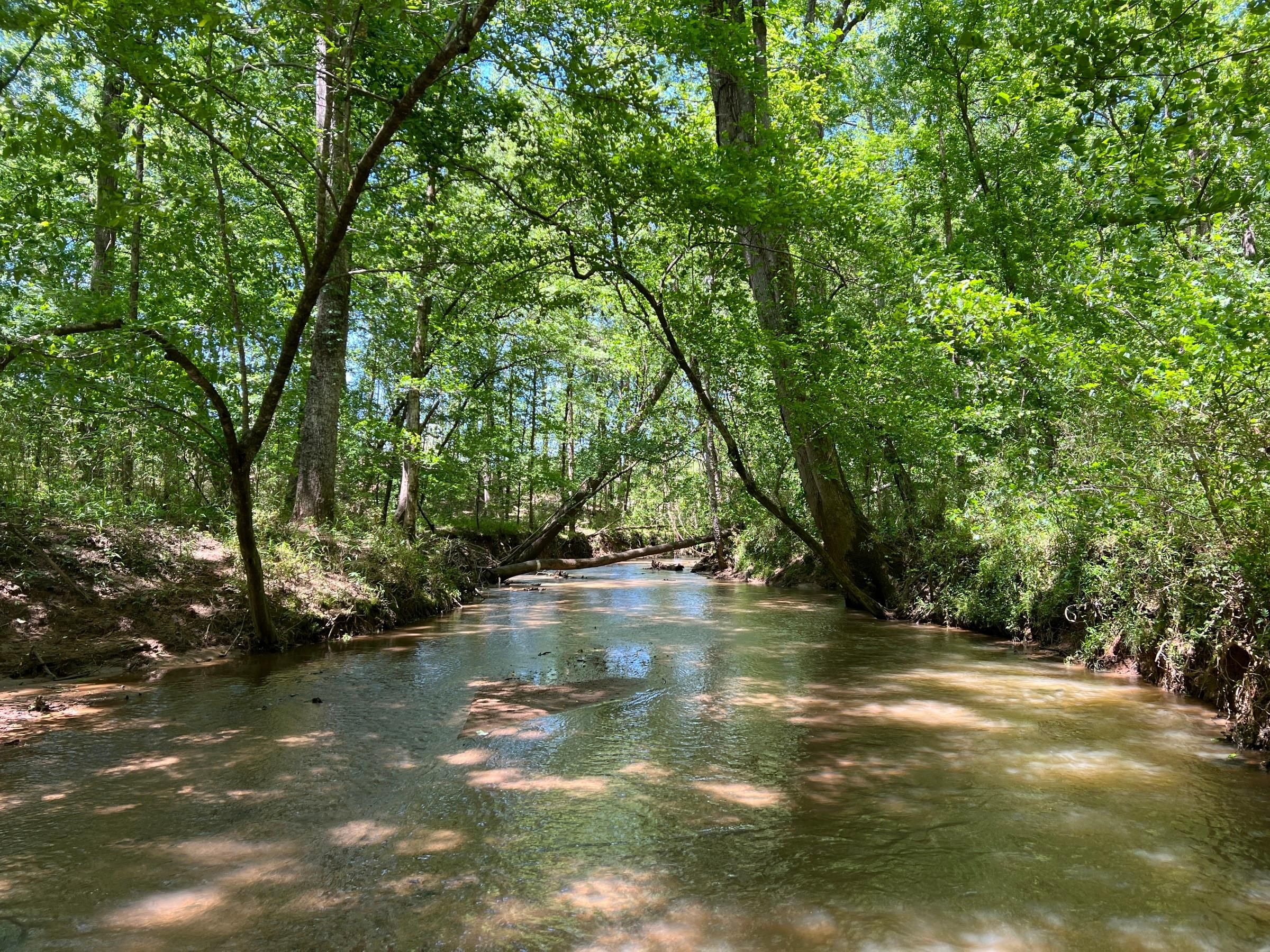18 acres in Hancock County,