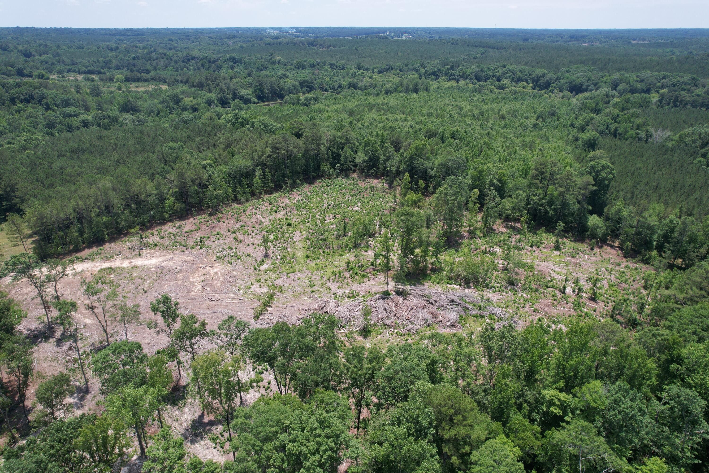 Agriculture Johnston, SC