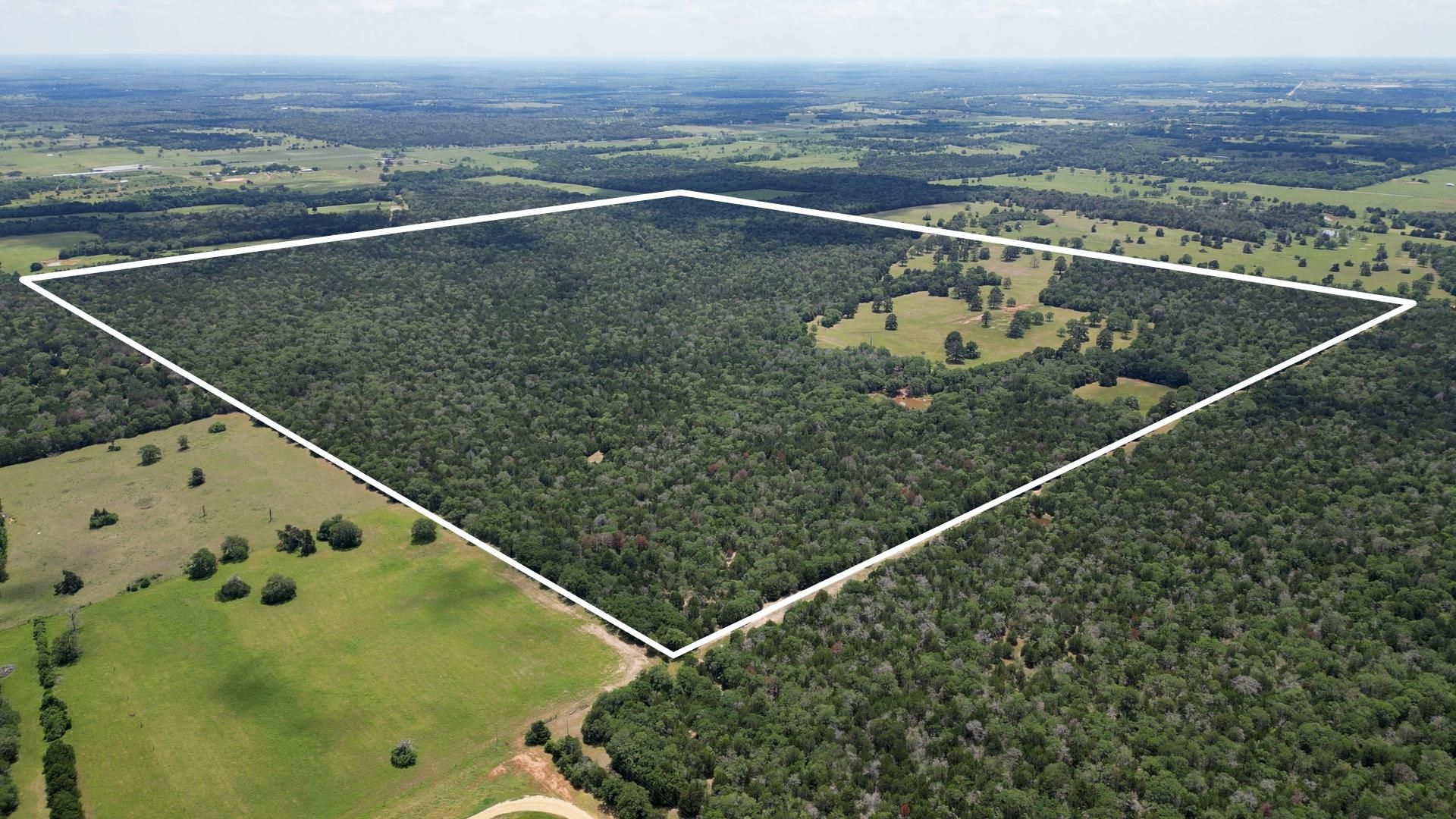 300 acres in Bastrop County, Texas