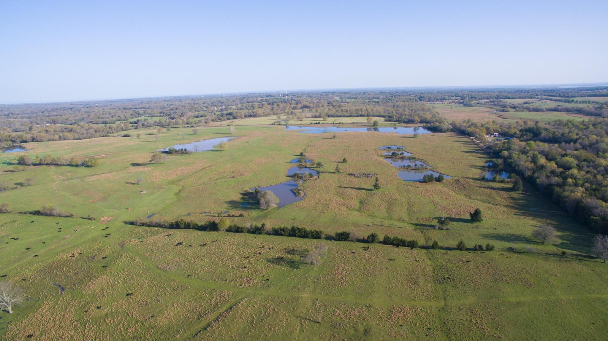 300 acres in Grant, OK, 74738 | Land.com