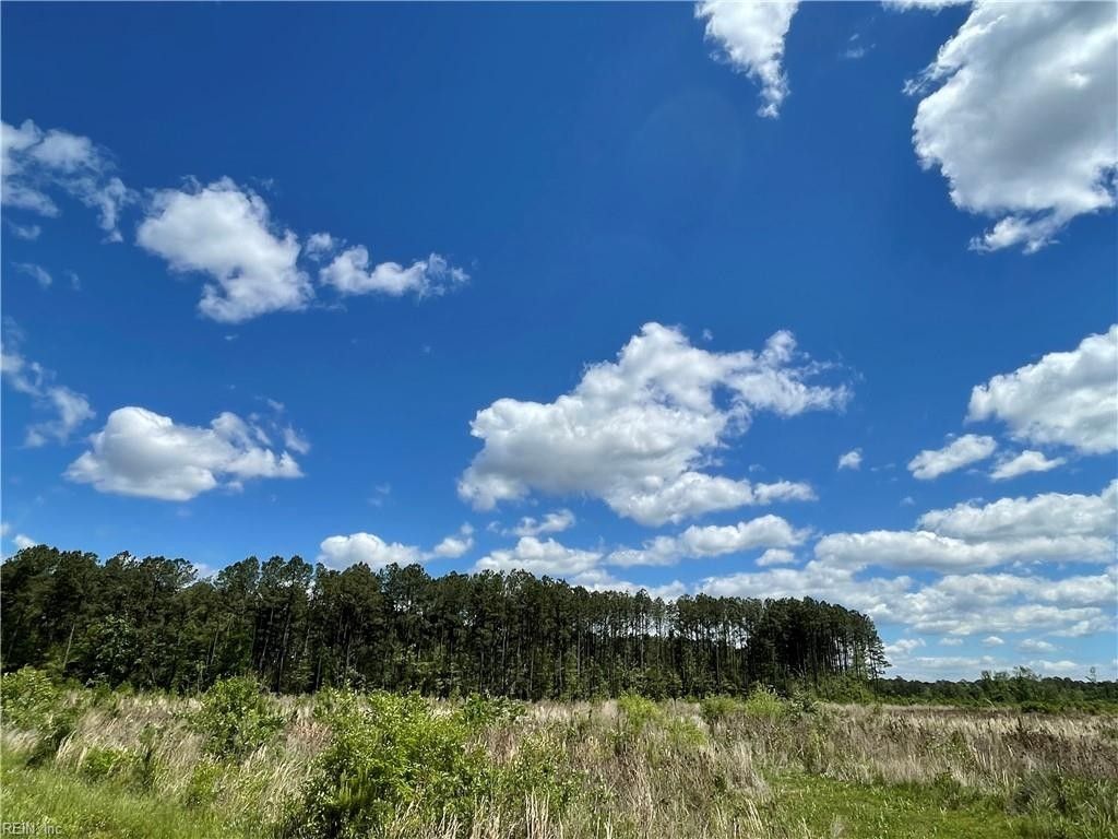 81.71 acres in Suffolk City County, Virginia