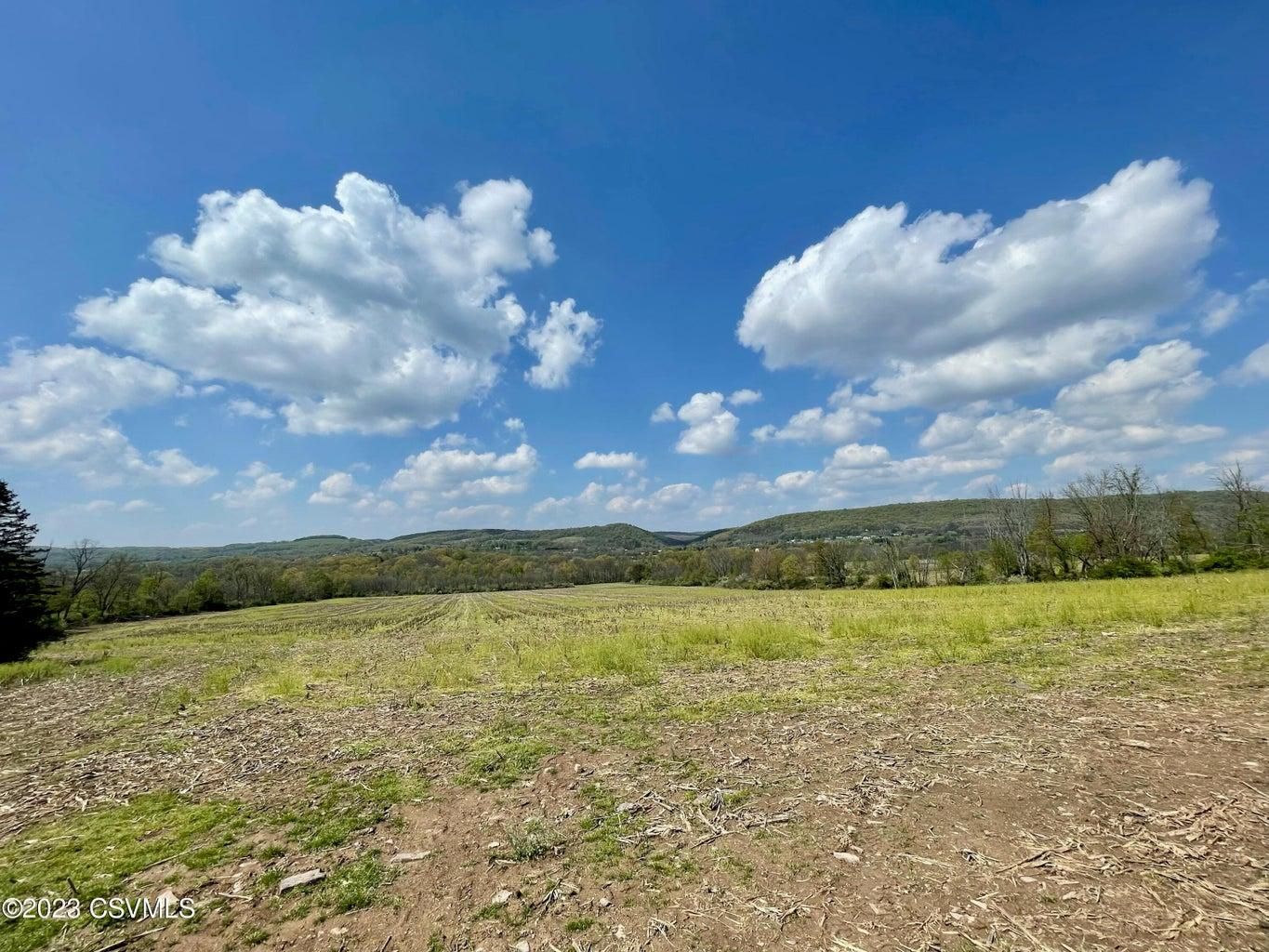 Columbia Hill Rd, Danville, PA 17821 MLS 2093901