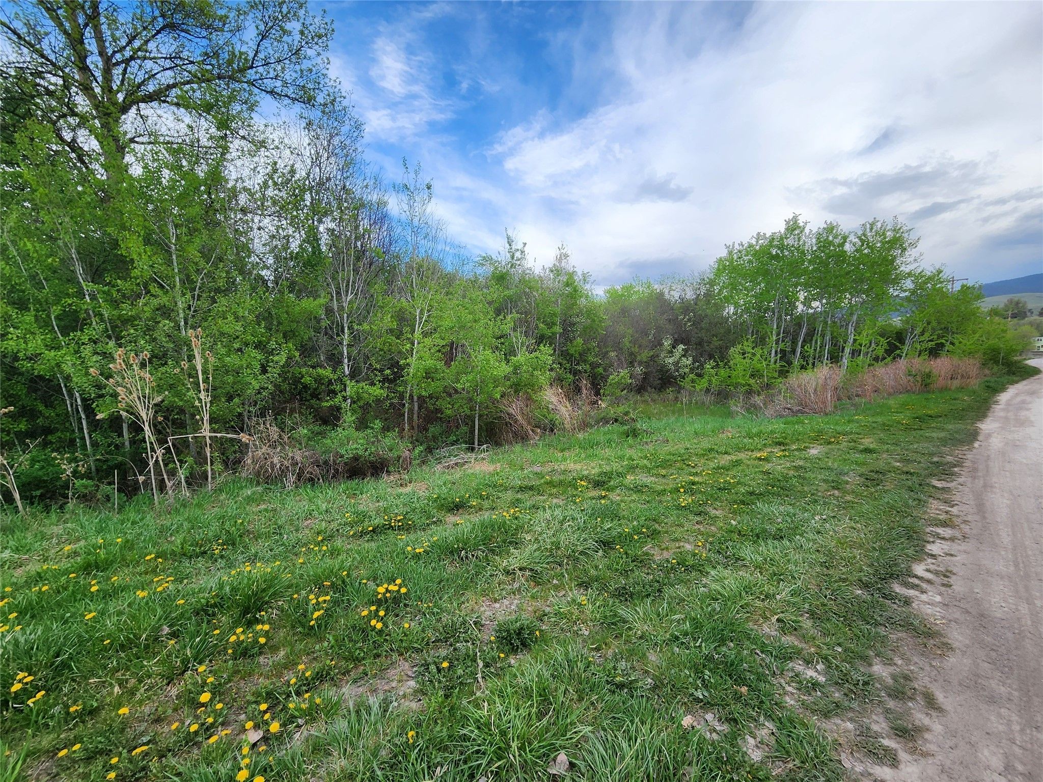 4.01 acres in Sanders County, Montana