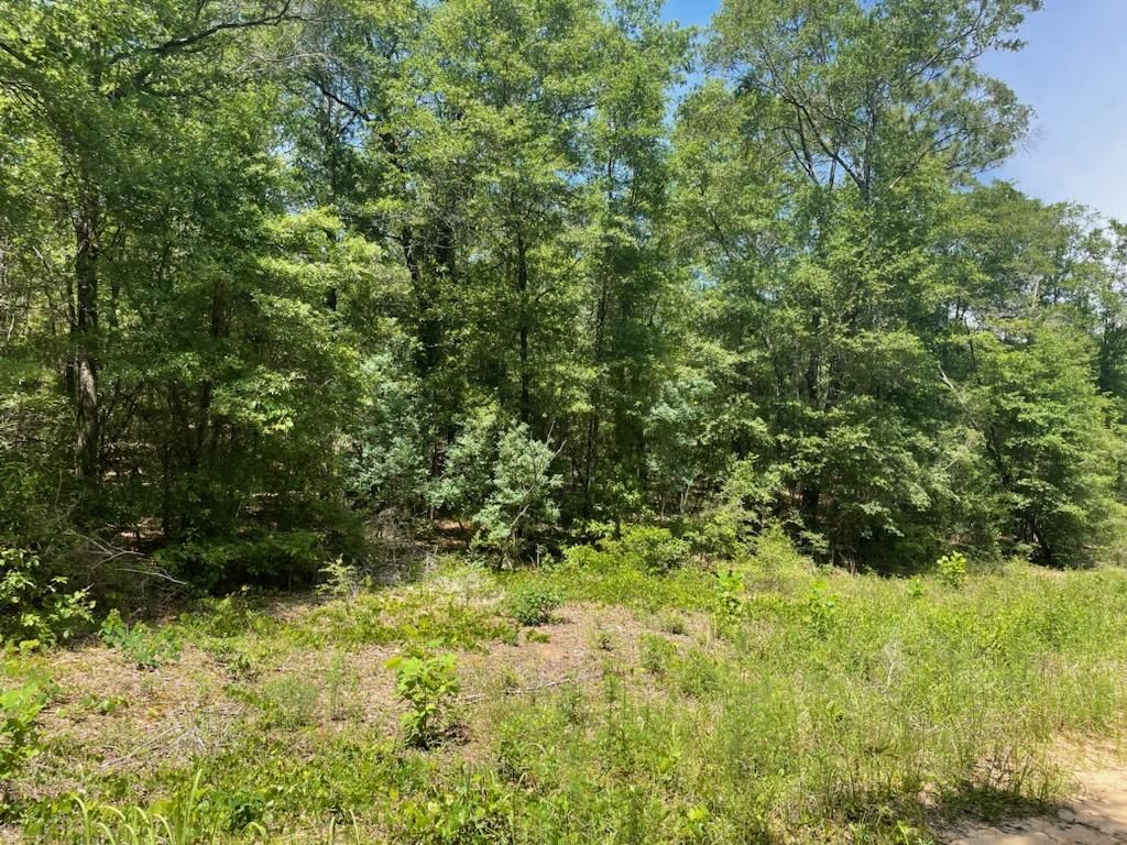 10 acres in Mobile County, Alabama