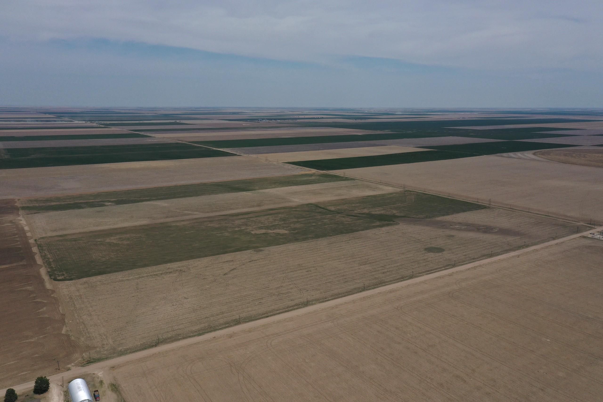 1,251 acres in Greeley County, Kansas