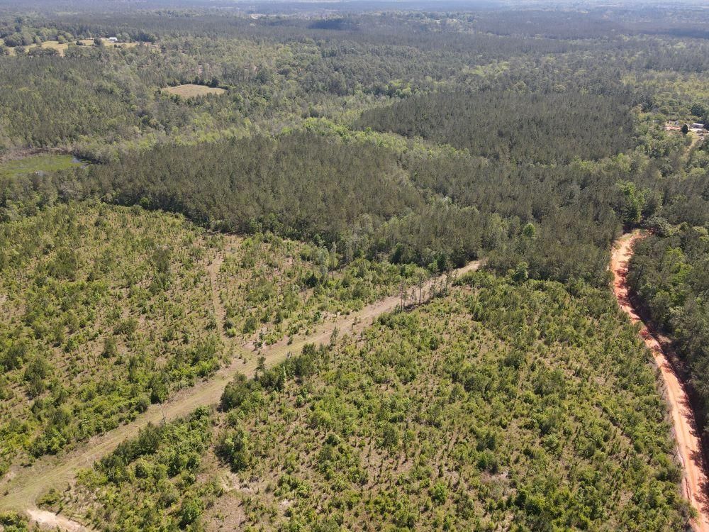 80 acres in Greene County, Mississippi