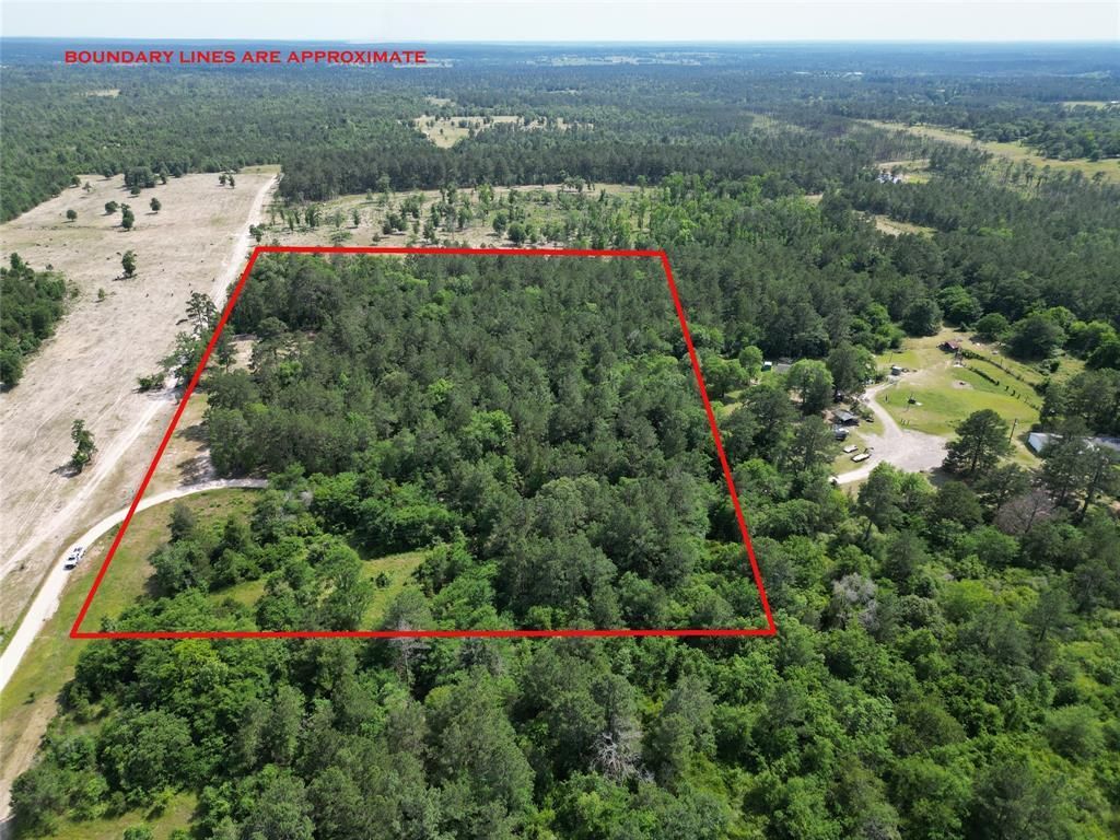 8 acres in Walker County, Texas